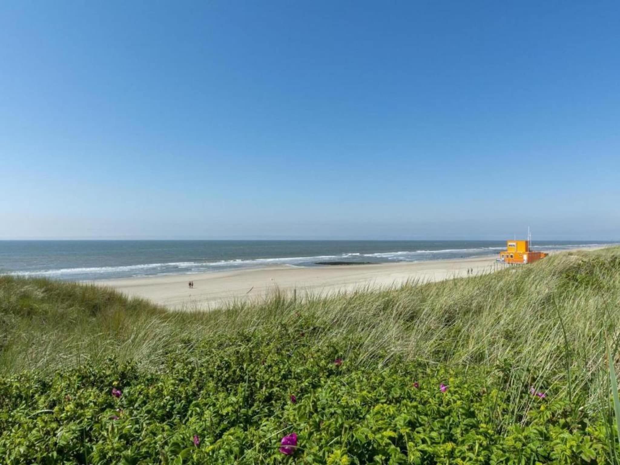 Zilte Bries in Callantsoog - Foto 22 van 35