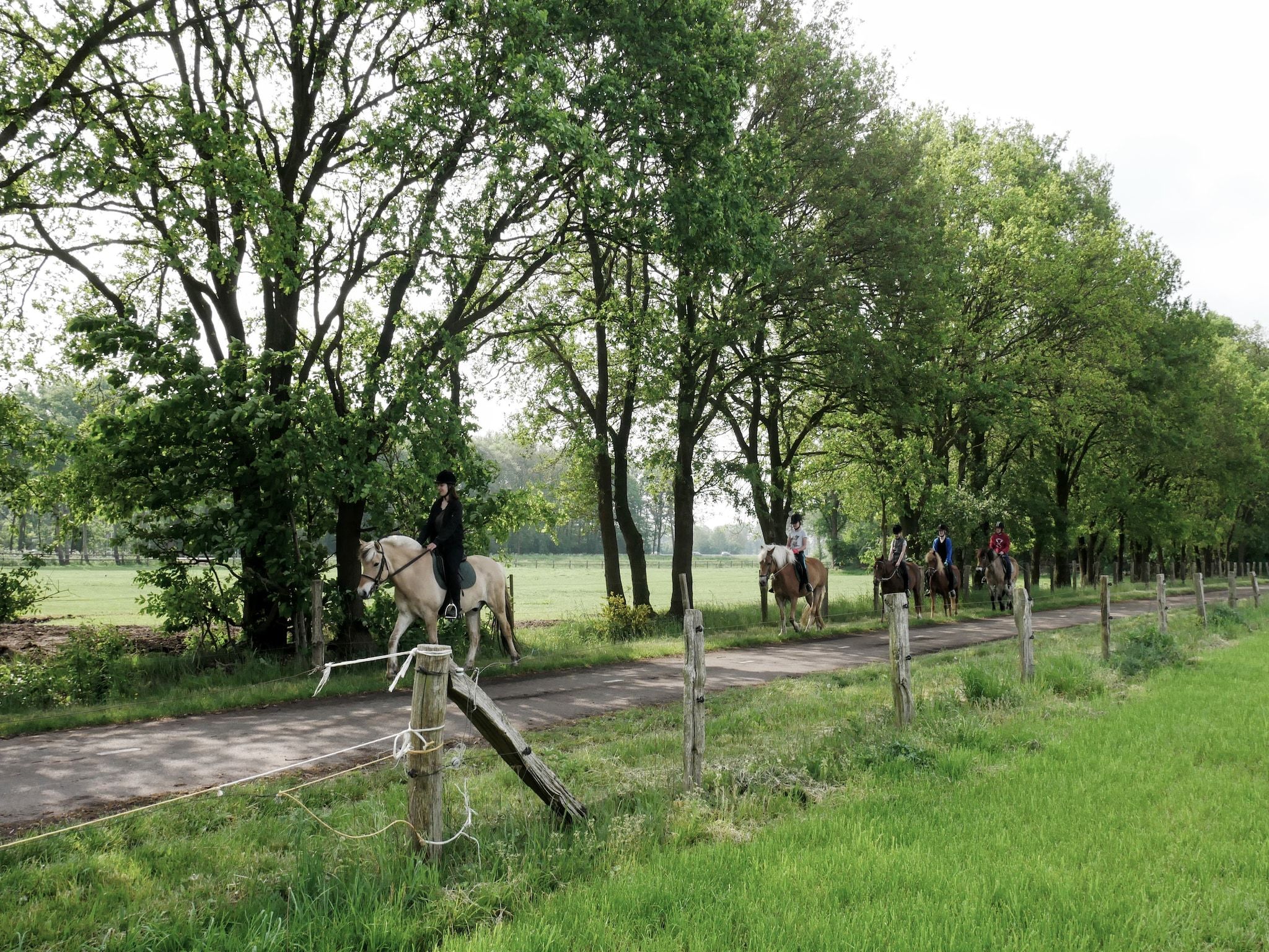 Erve Tank in Eibergen - Foto 19 van 40