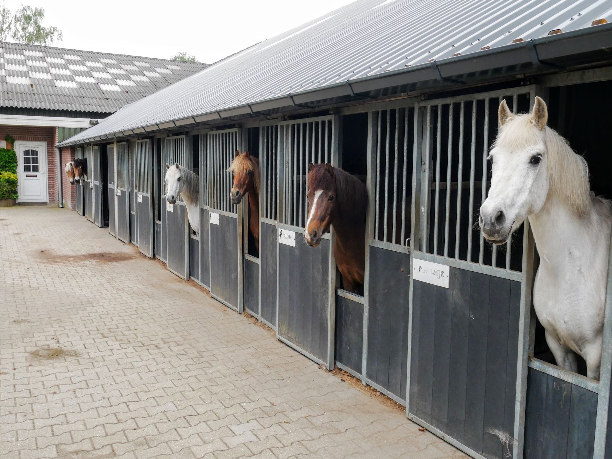 Erve Tank in Eibergen - Foto 20 van 40