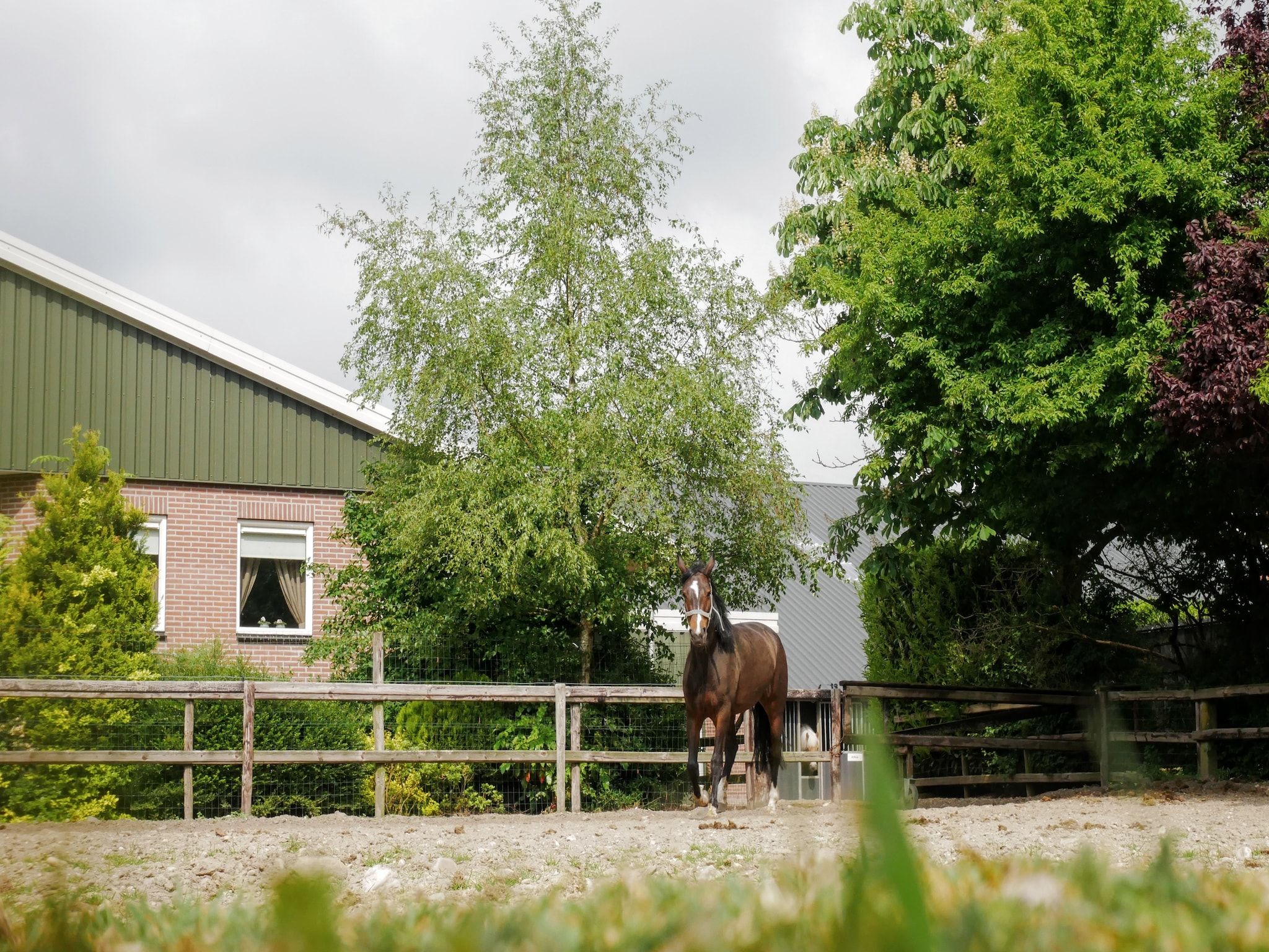 Erve Tank in Eibergen - Foto 21 van 40