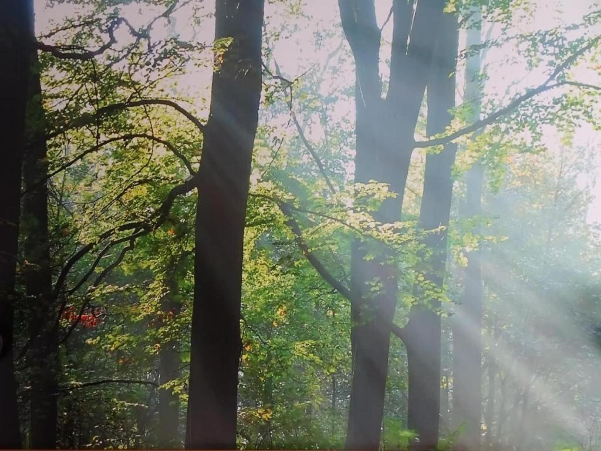 Erve Tank in Eibergen - Foto 26 van 40