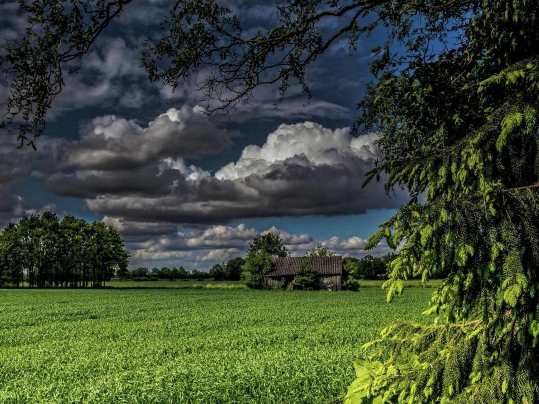 Erve Tank in Eibergen - Foto 29 van 40