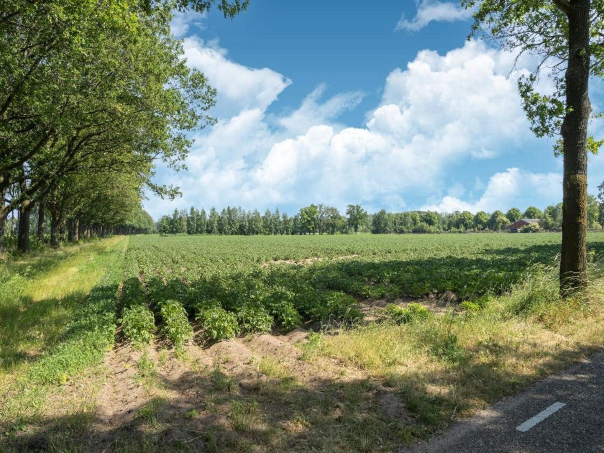 Erve Tank in Eibergen - Foto 40 van 40