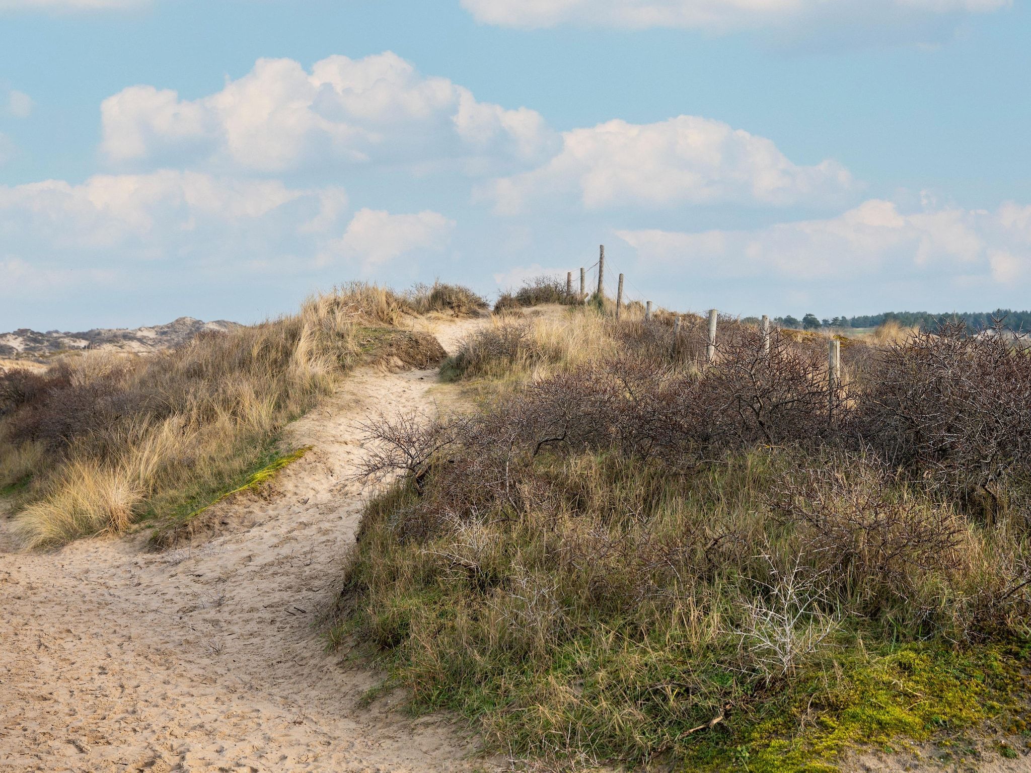 De omgeving van De Zilvermeeuw in Noordwijk