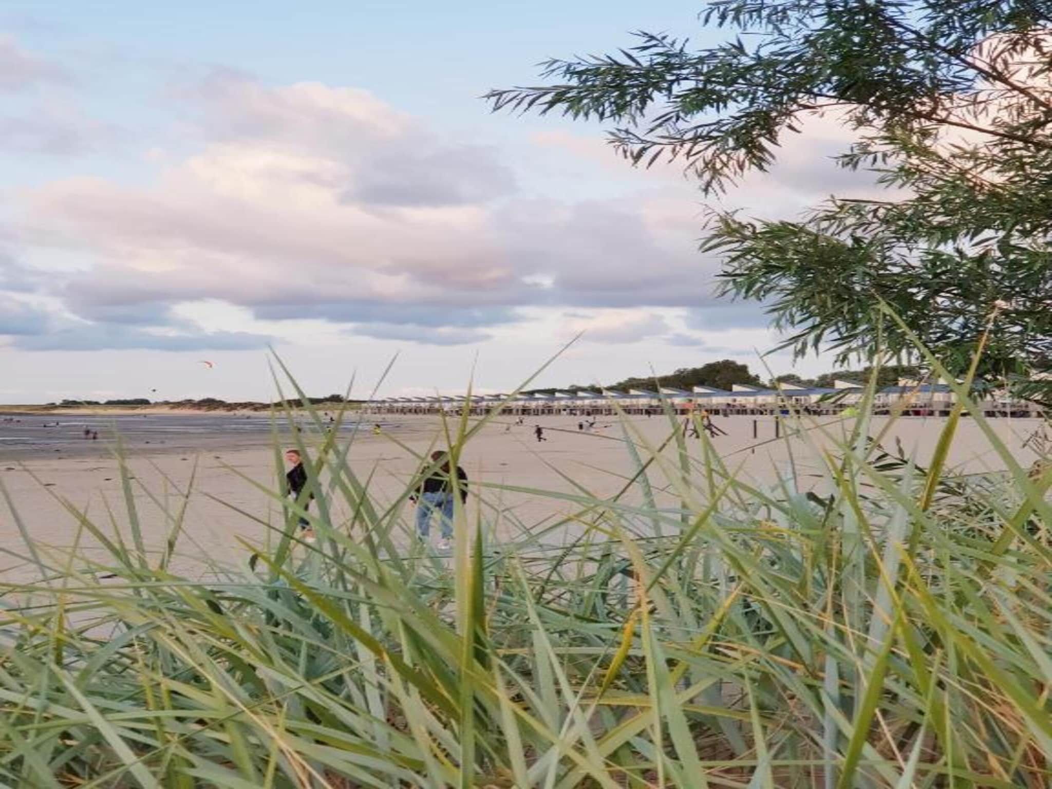 Cardium 33 in Kamperland - Foto 29 van 41