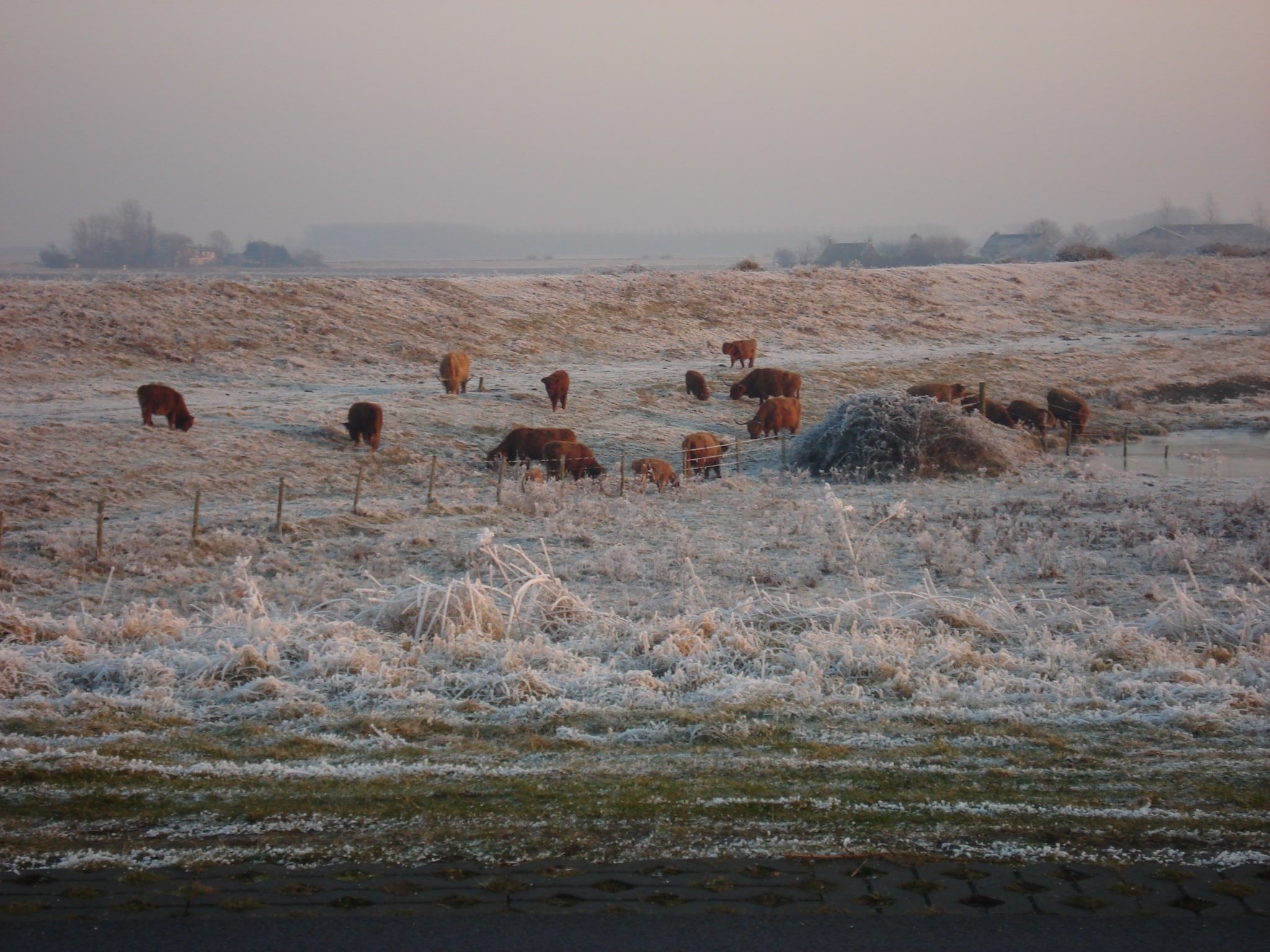 Sannie's Place in Kamperland - Foto 29 van 40