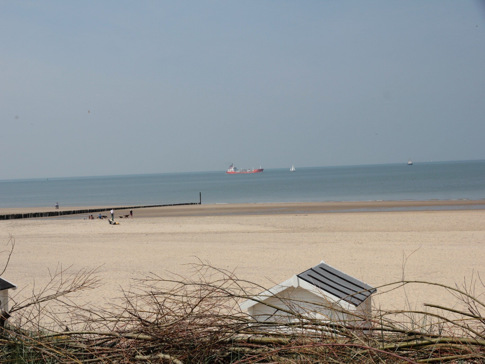 De omgeving van Krokus 10 in Breskens