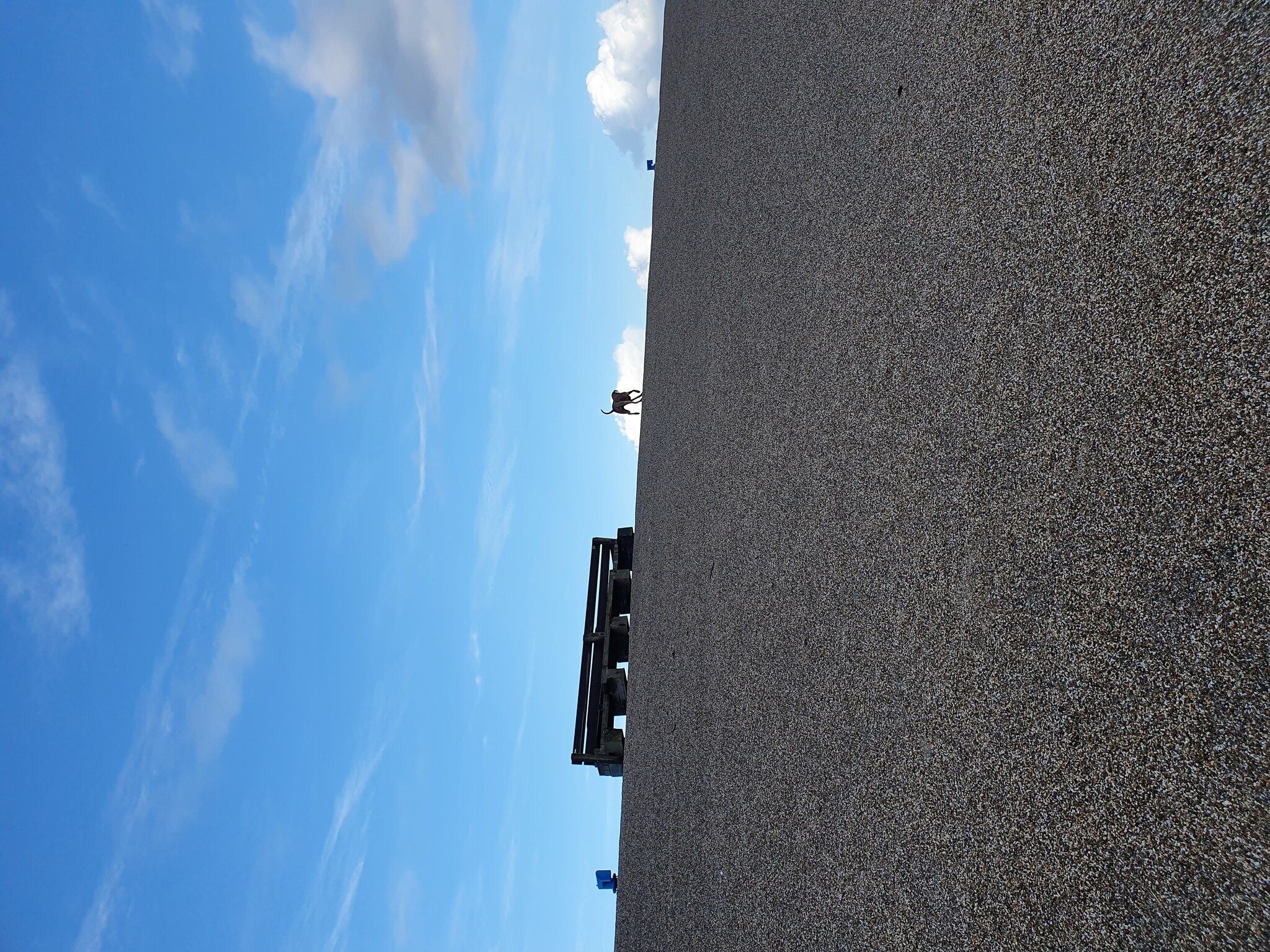 Krokus 10 in Breskens - Foto 37 van 44