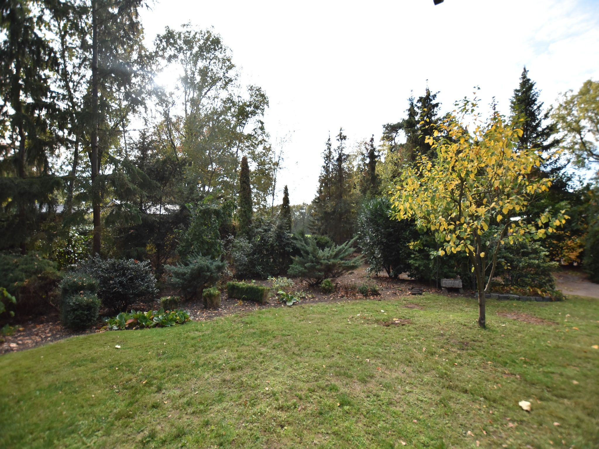 De tuin van Oarich Trechte in Reutum-Weerselo