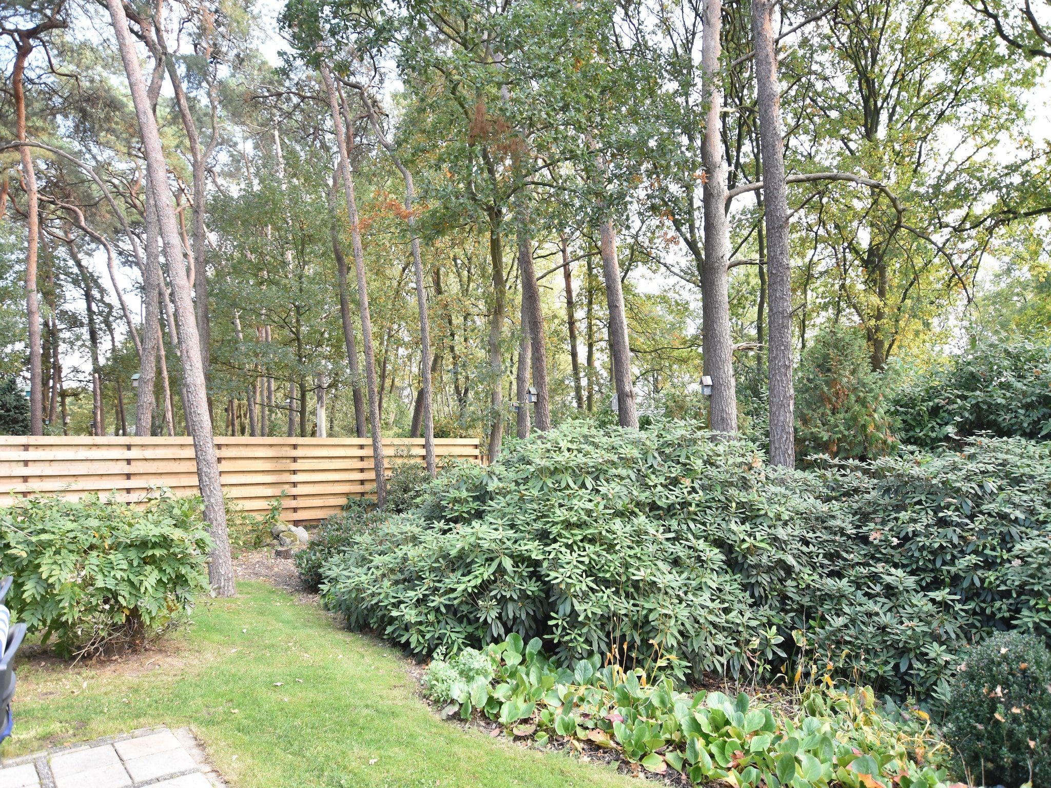 De tuin van Oarich Trechte in Reutum-Weerselo