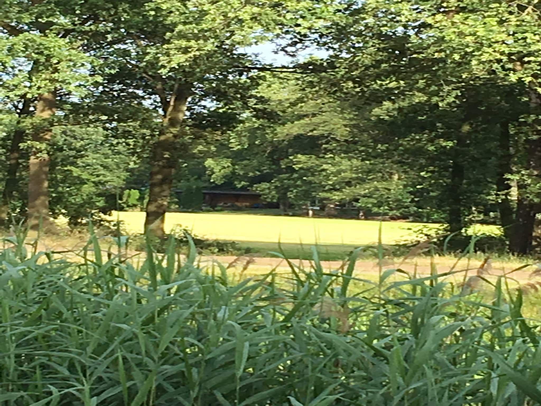 Het uitzicht vanaf Oarich Trechte in Reutum-Weerselo