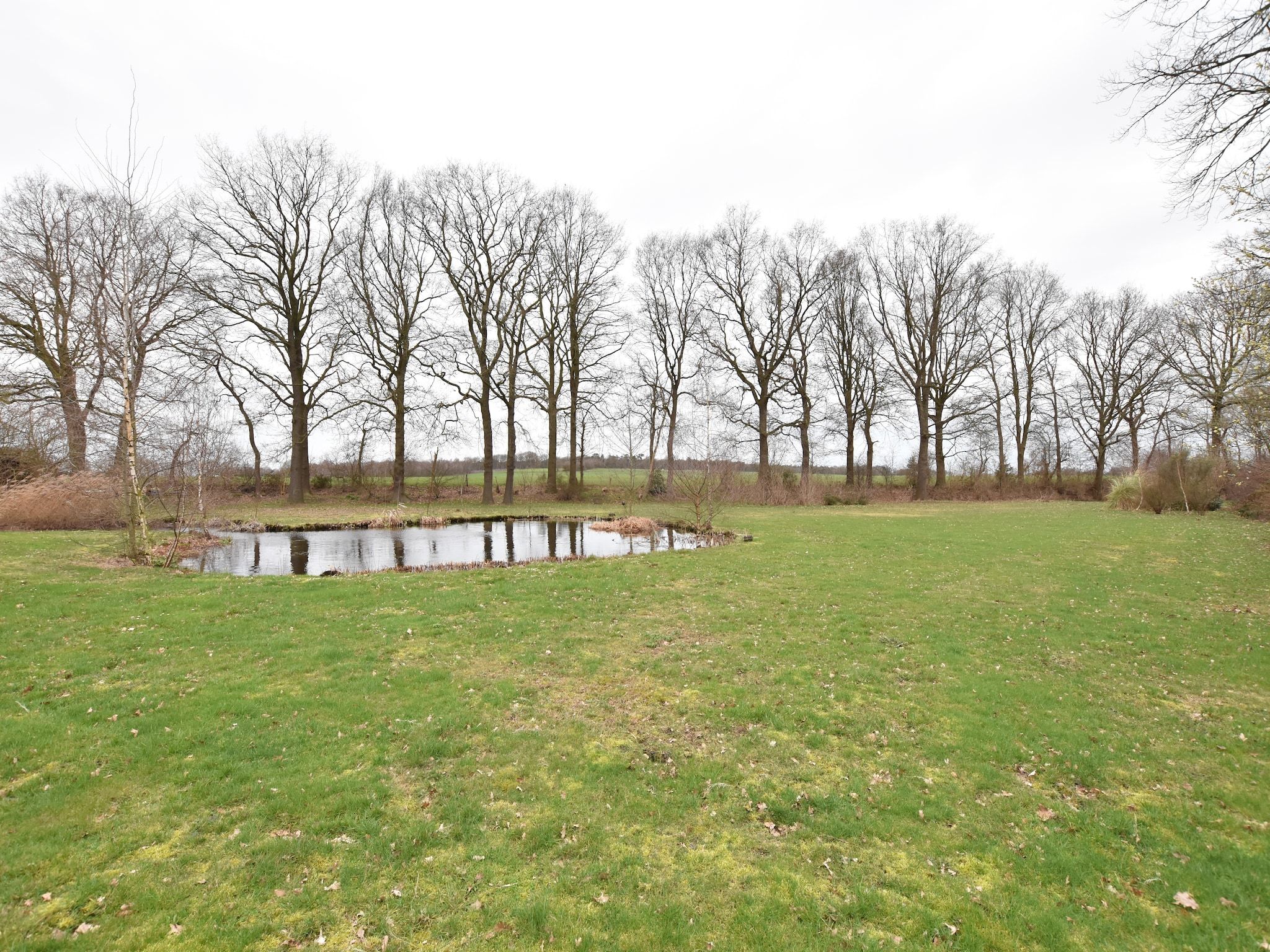 De tuin van Villa Luttenberg in Luttenberg