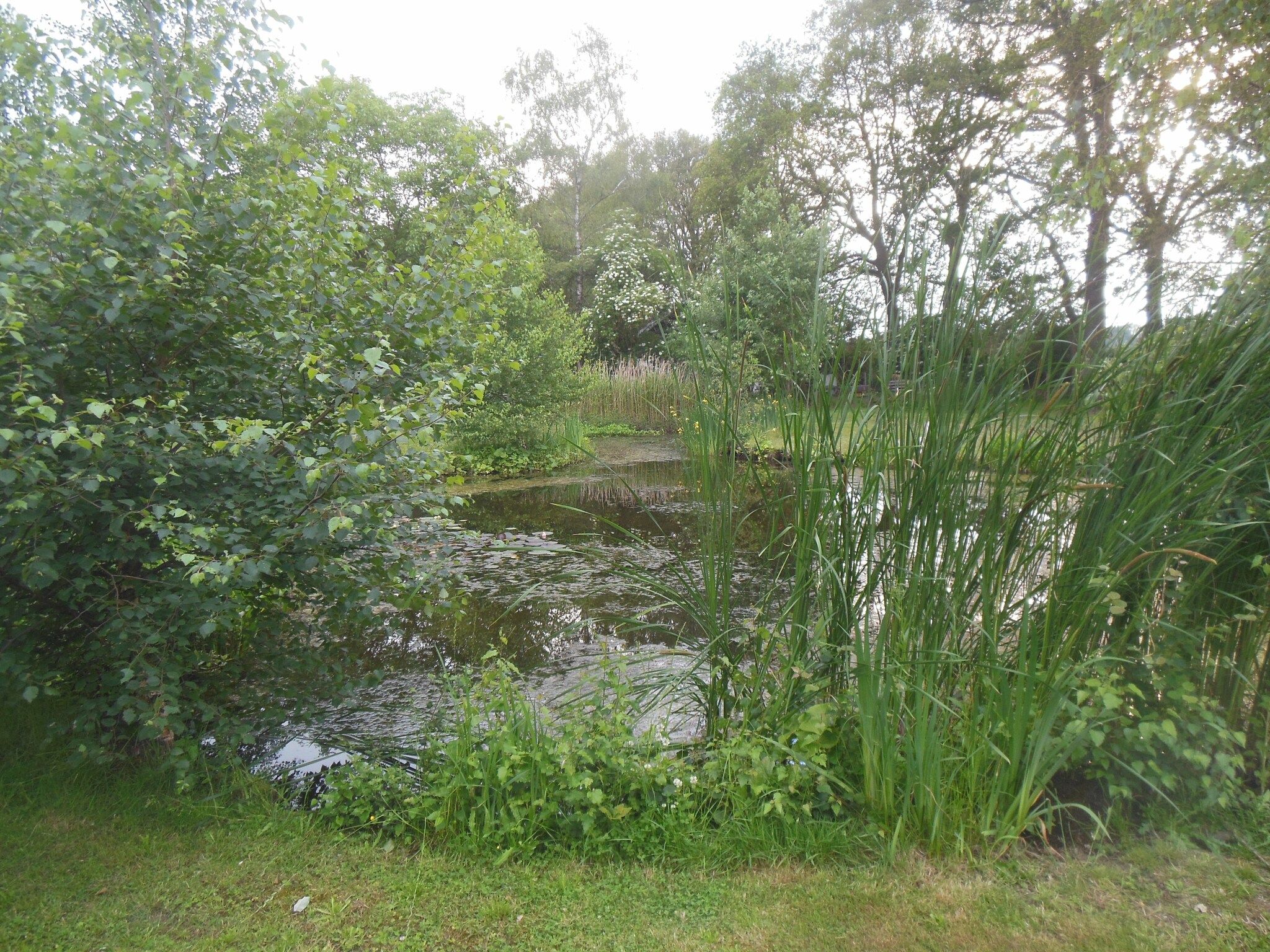 De tuin van Villa Luttenberg in Luttenberg