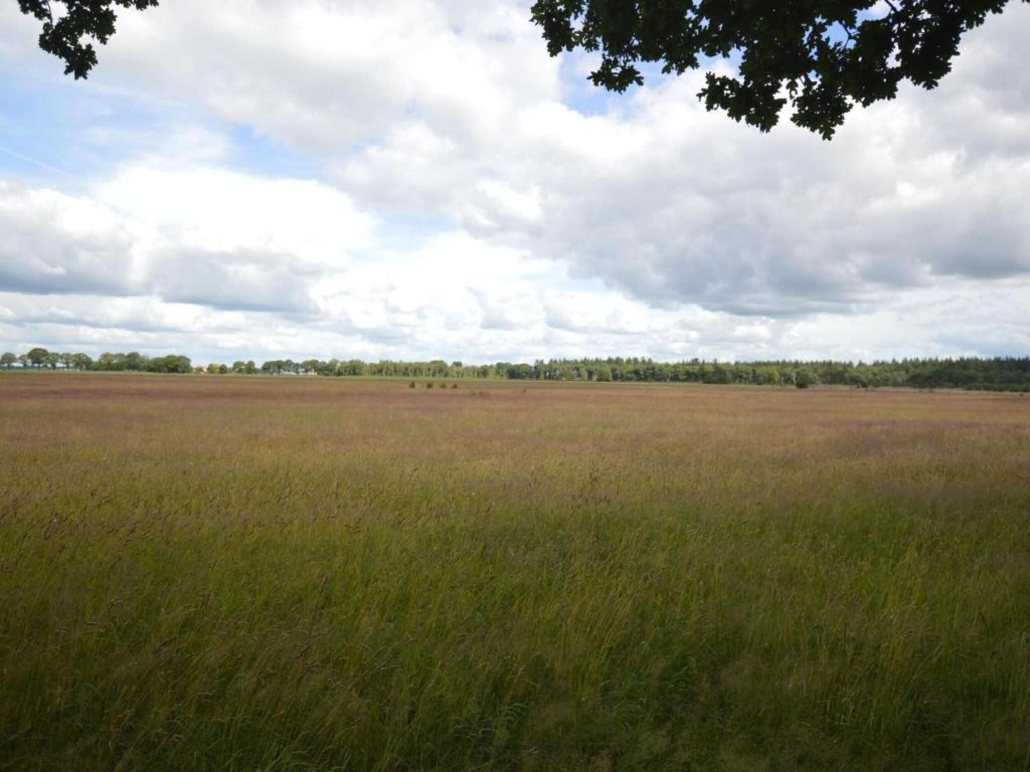 De omgeving van Hof van Salland 8 in Hellendoorn