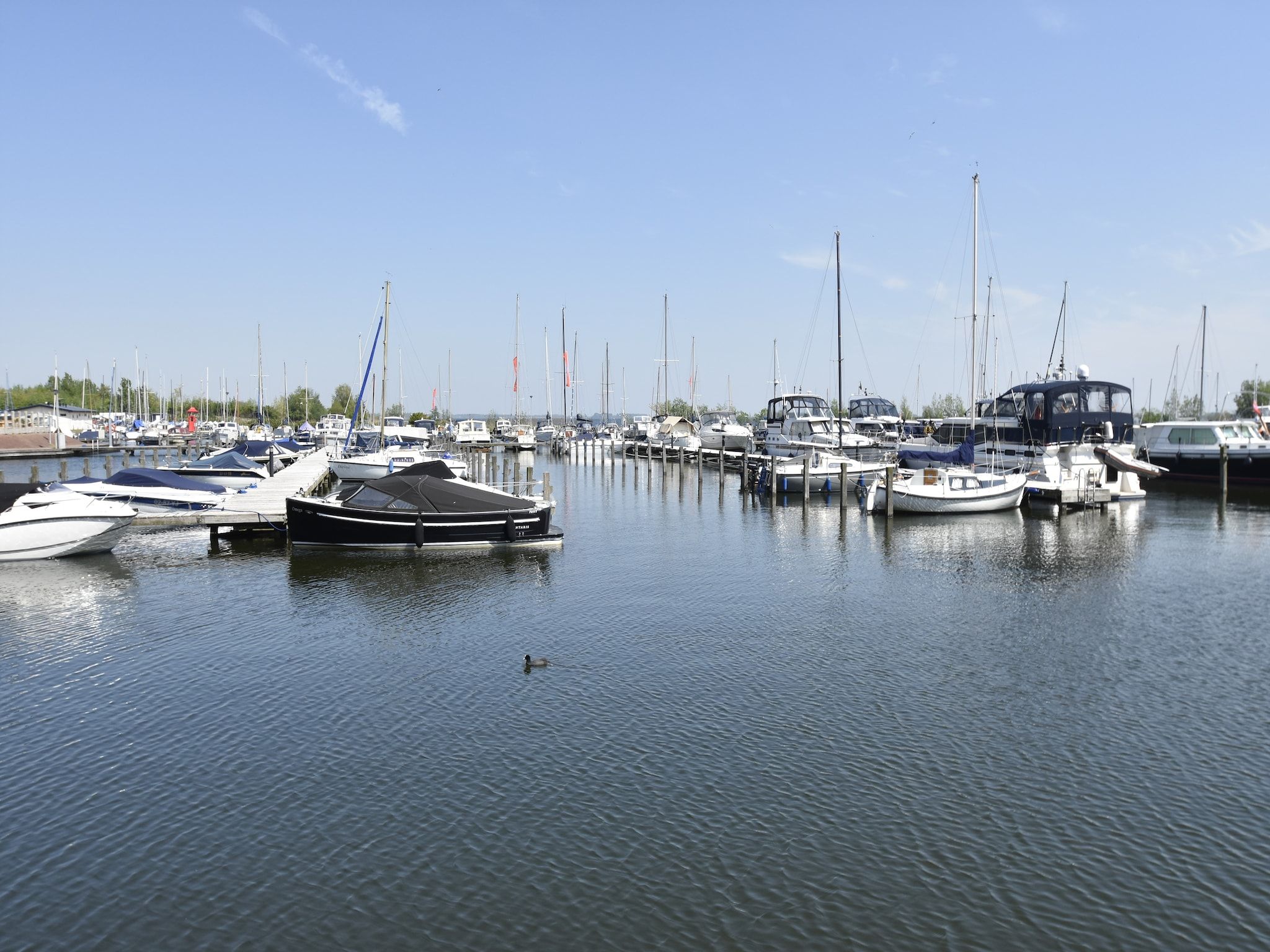 De omgeving van Bosruiter in Zeewolde