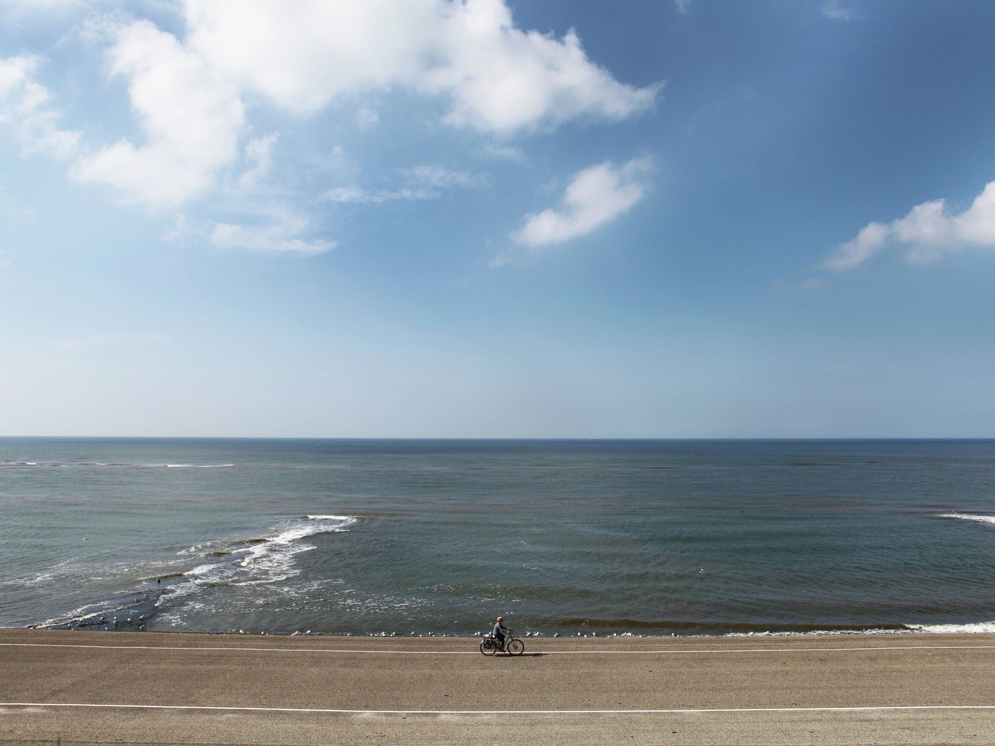 De omgeving van Scoreldame 6-persoons in Schoorldam