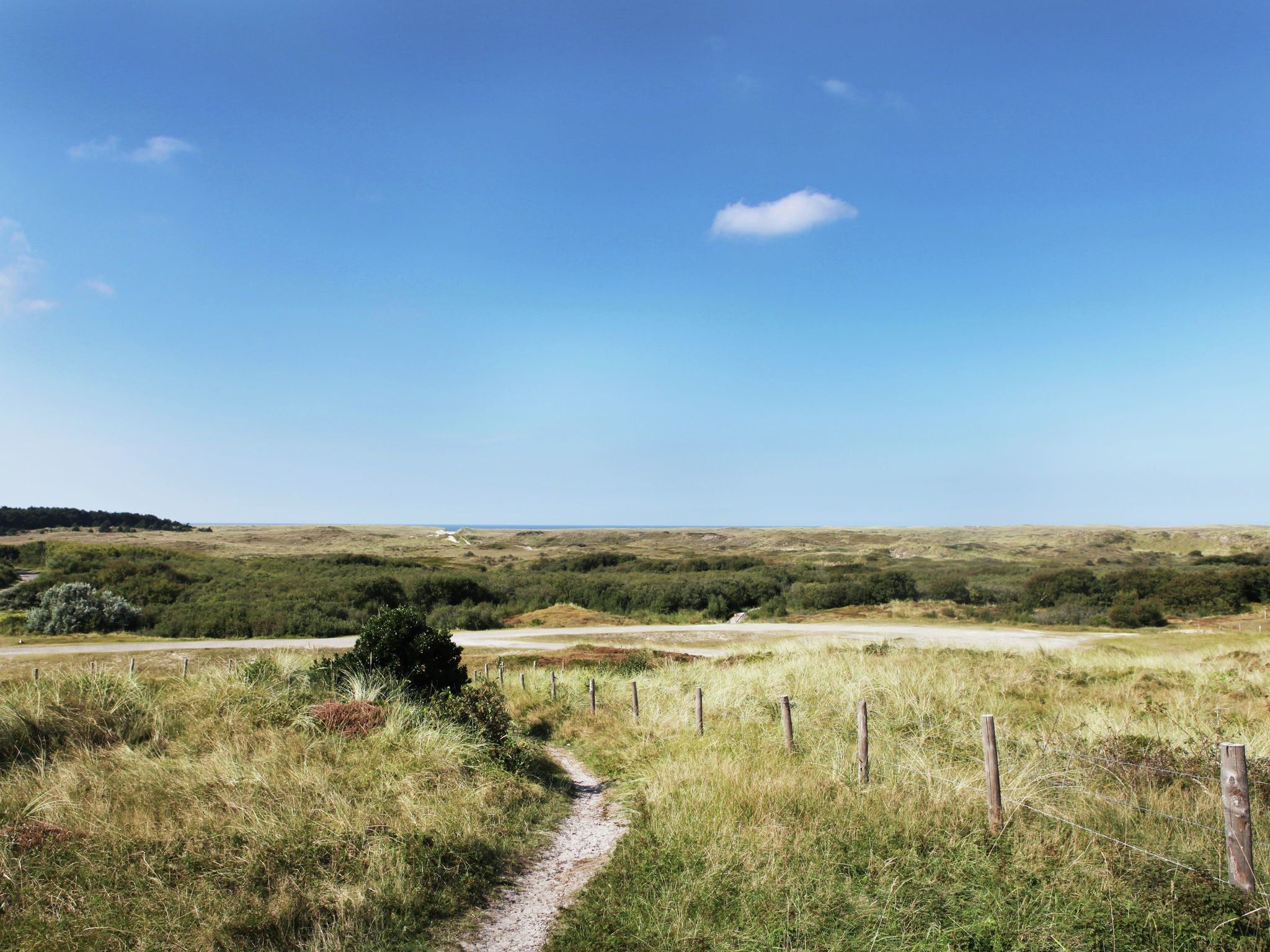 De omgeving van Scoreldame 6-persoons in Schoorldam