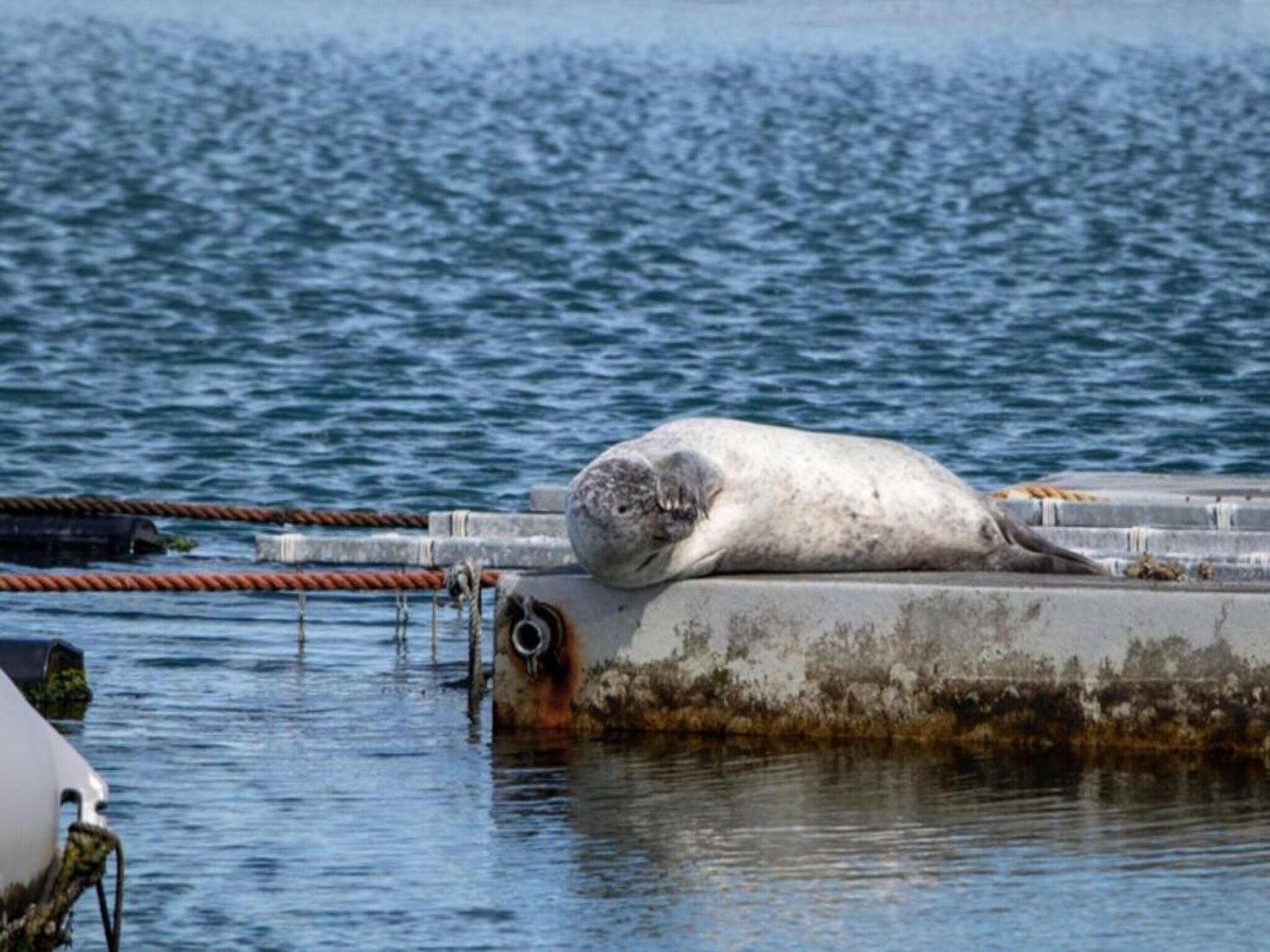 Zeeuwse Parel Appartement 4 pers 1 bdk - 2 in Colijnsplaat - Foto 32 van 40