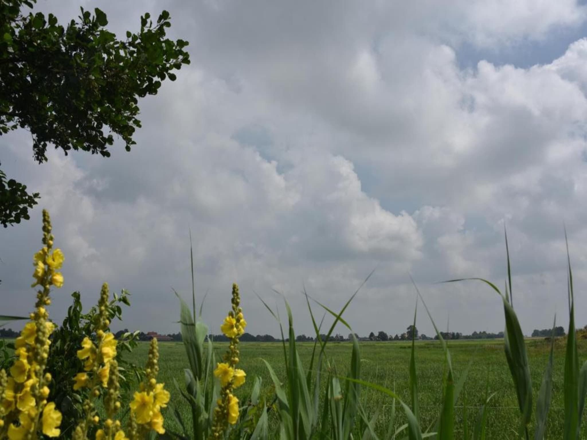 Friese Meren Villa's 5 in Delfstrahuizen - Foto 30 van 32