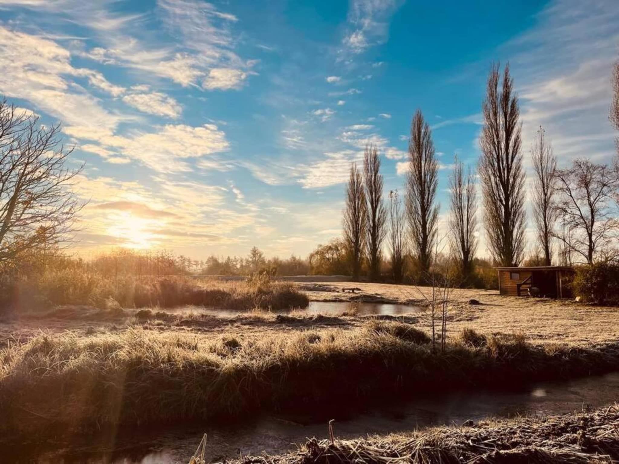 Friese Meren Villa's 5 in Delfstrahuizen - Foto 32 van 32