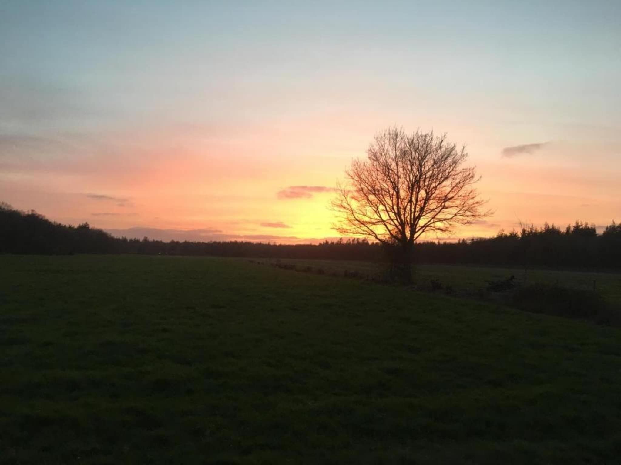 Friese Meren Villa's 7 in Delfstrahuizen - Foto 19 van 38