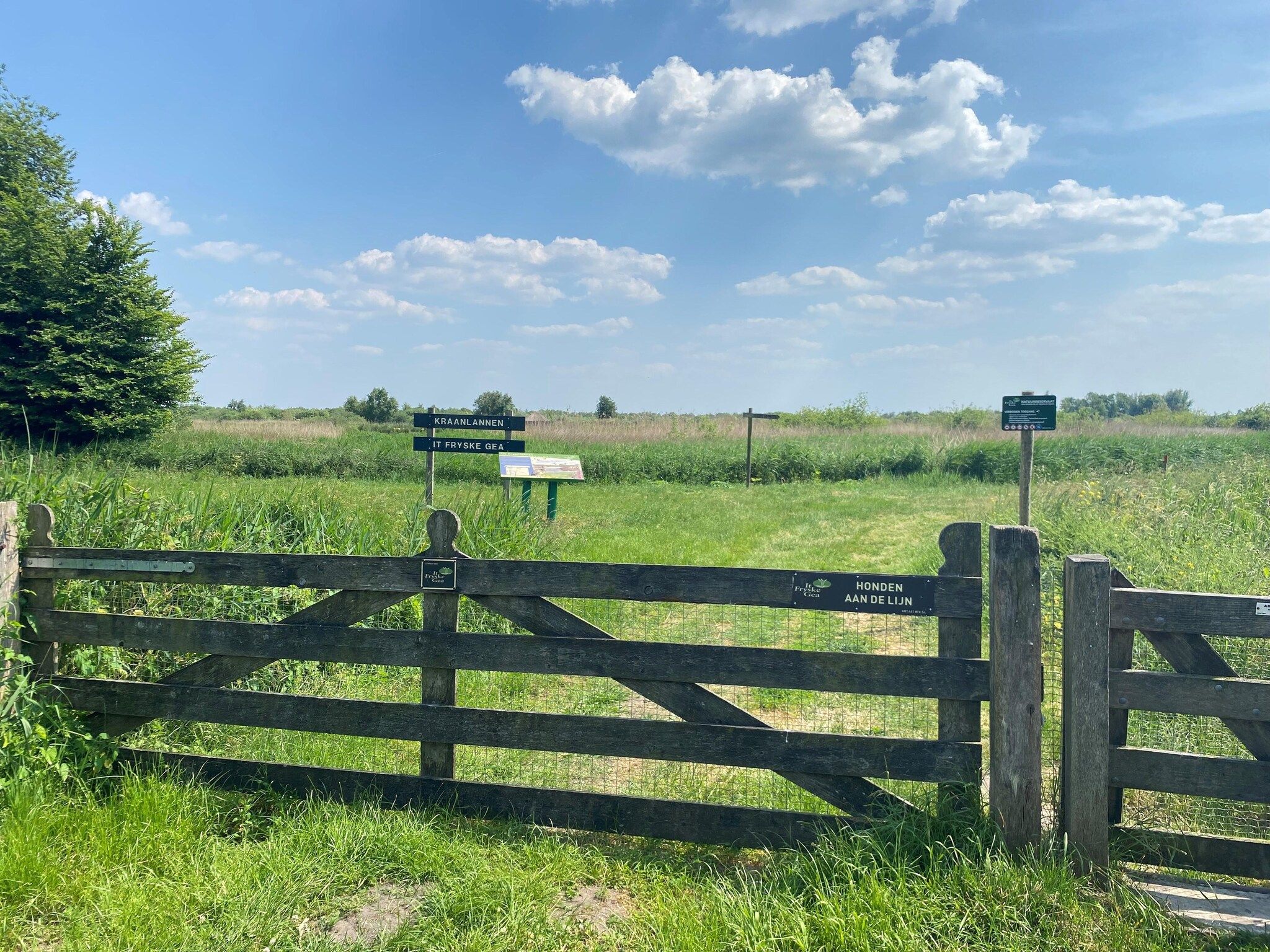 Chalet Doutzen in De Veenhoop - Foto 16 van 40