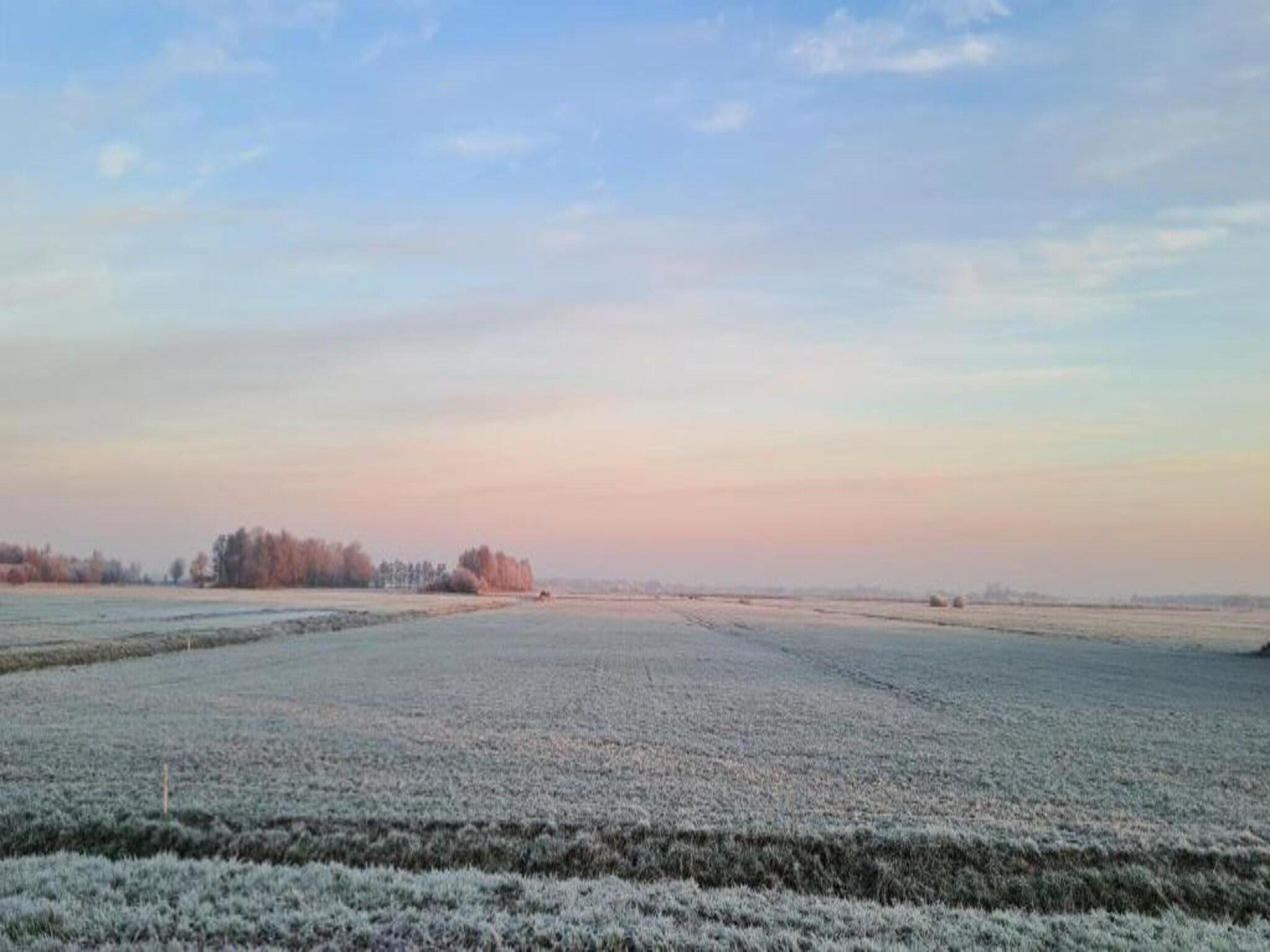 Chalet Doutzen in De Veenhoop - Foto 35 van 40