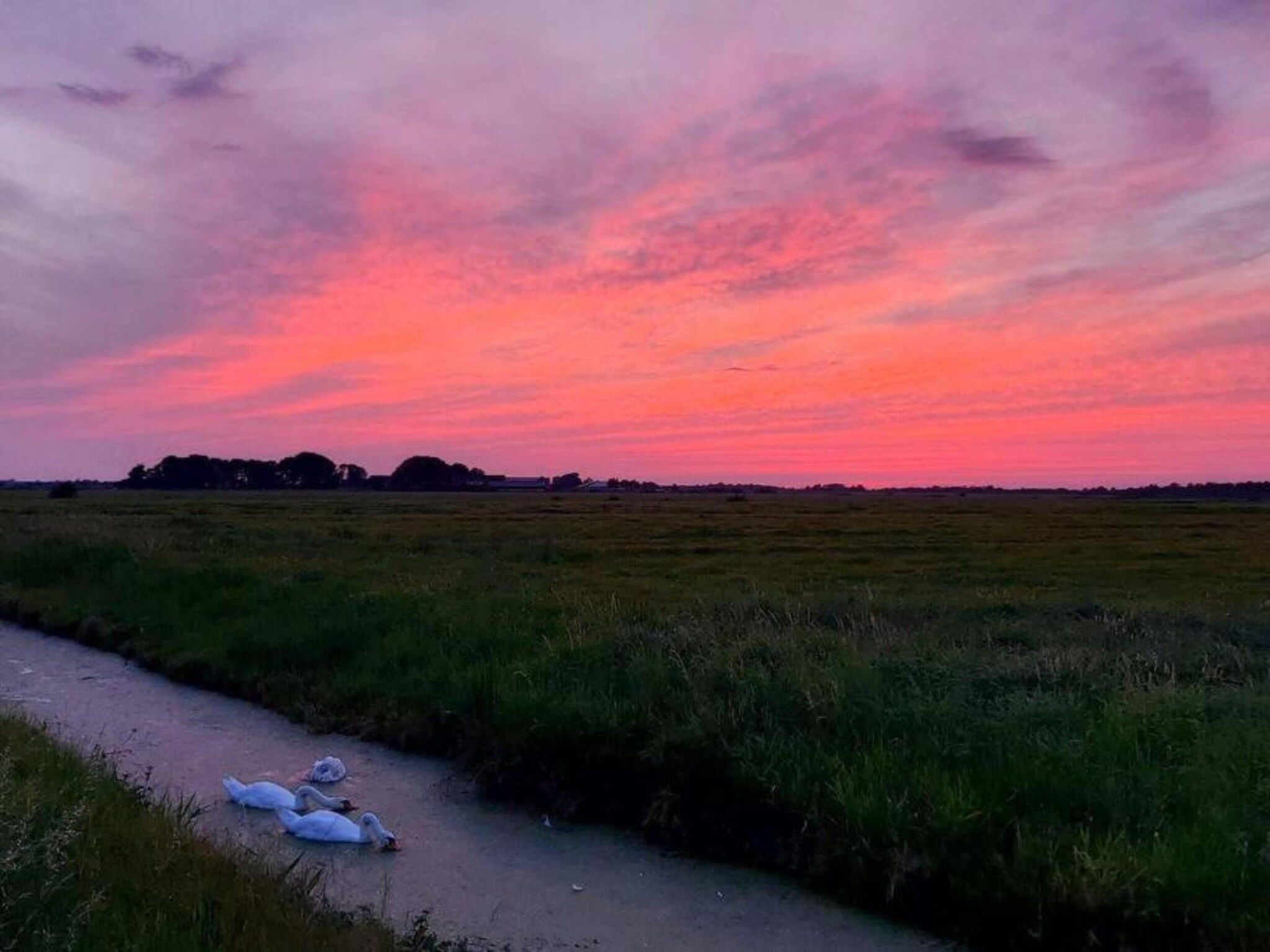 Chalet Doutzen in De Veenhoop - Foto 37 van 40