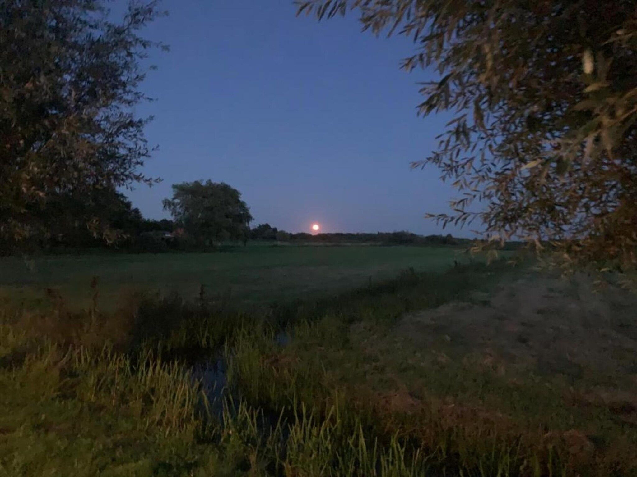 Chalet Doutzen in De Veenhoop - Foto 21 van 40