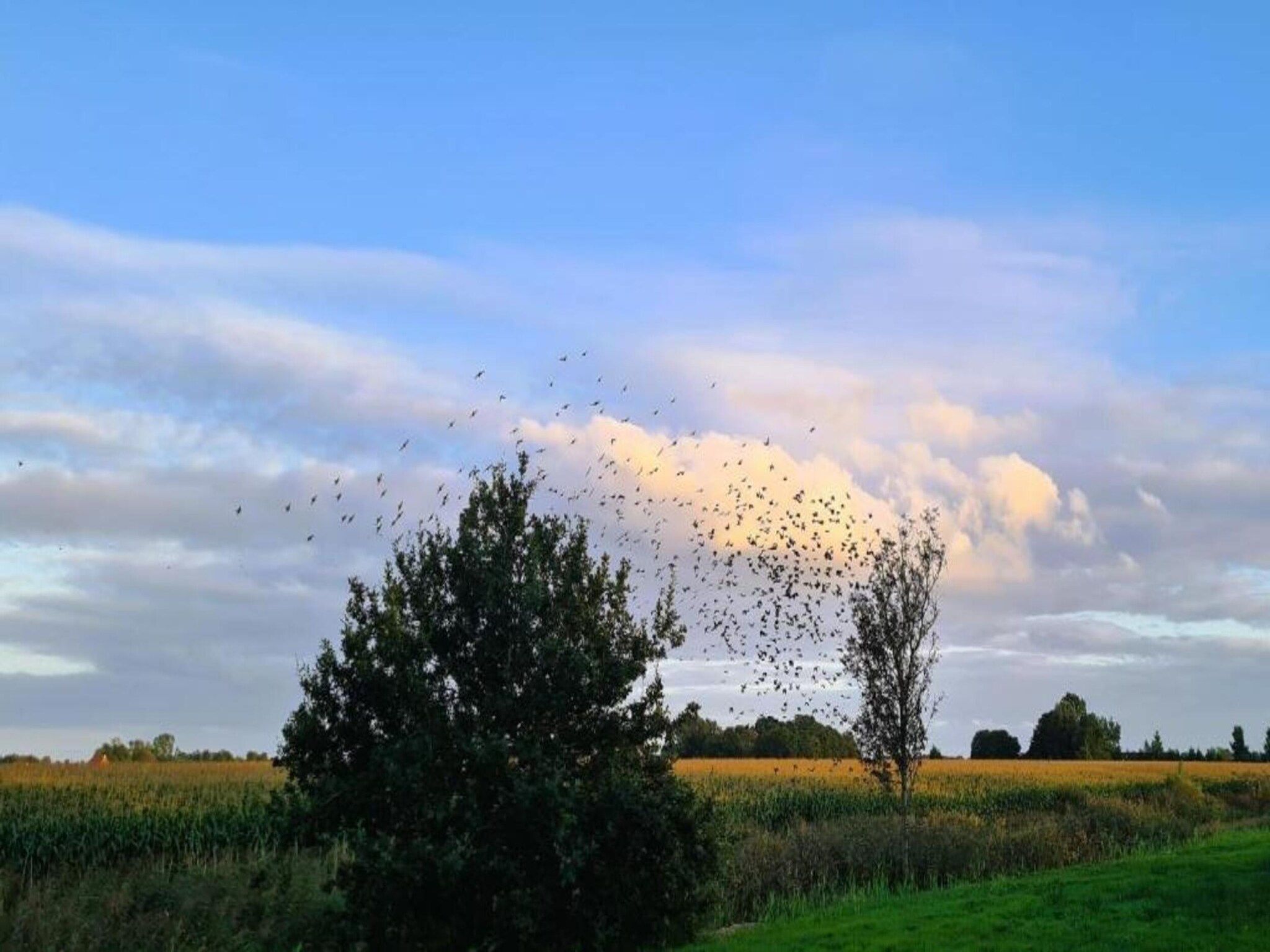 Chalet Doutzen in De Veenhoop - Foto 22 van 40