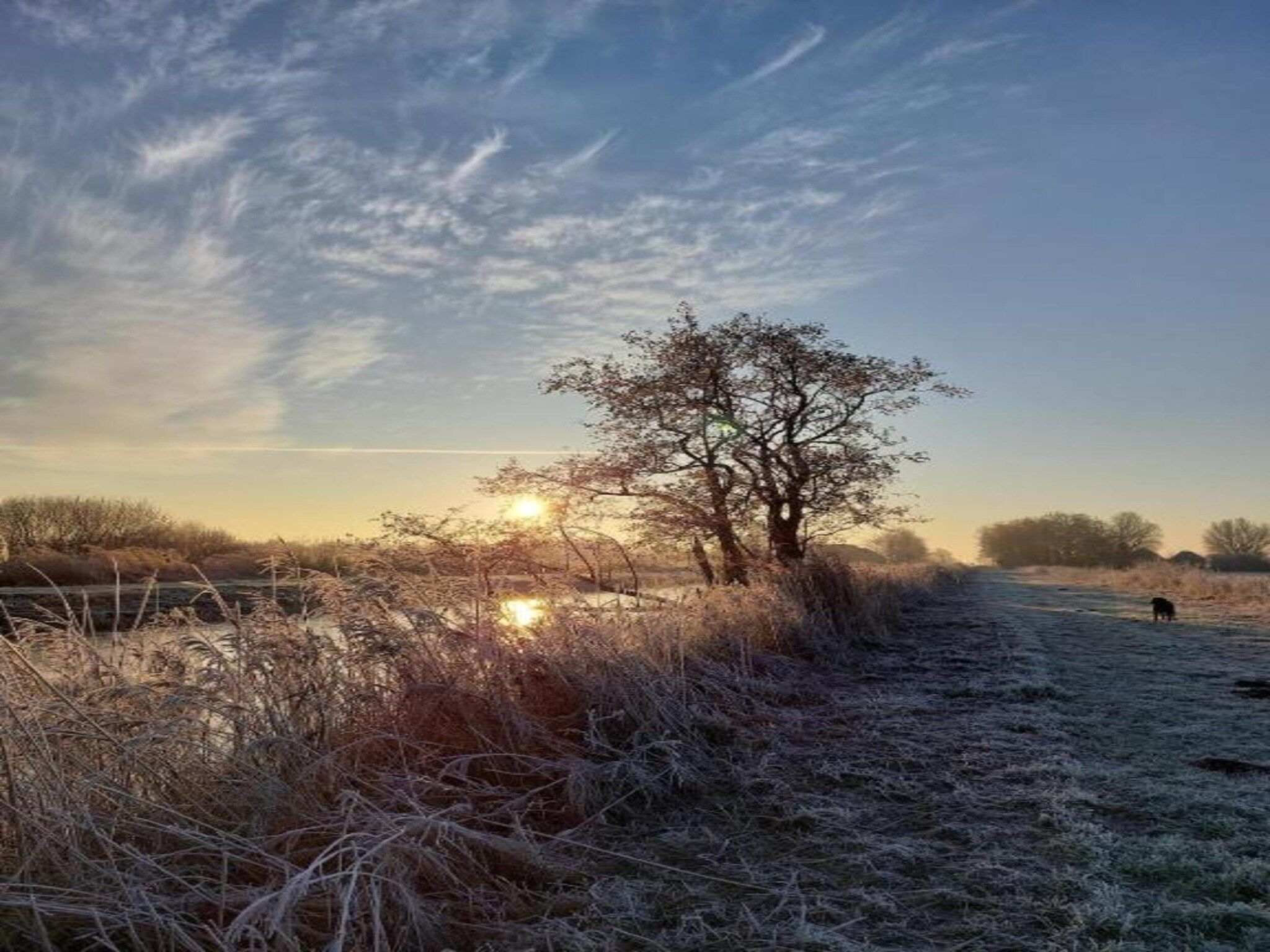 Chalet Doutzen in De Veenhoop - Foto 28 van 40