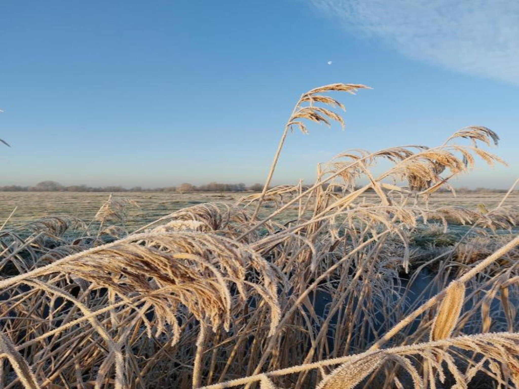 Chalet Doutzen in De Veenhoop - Foto 30 van 40