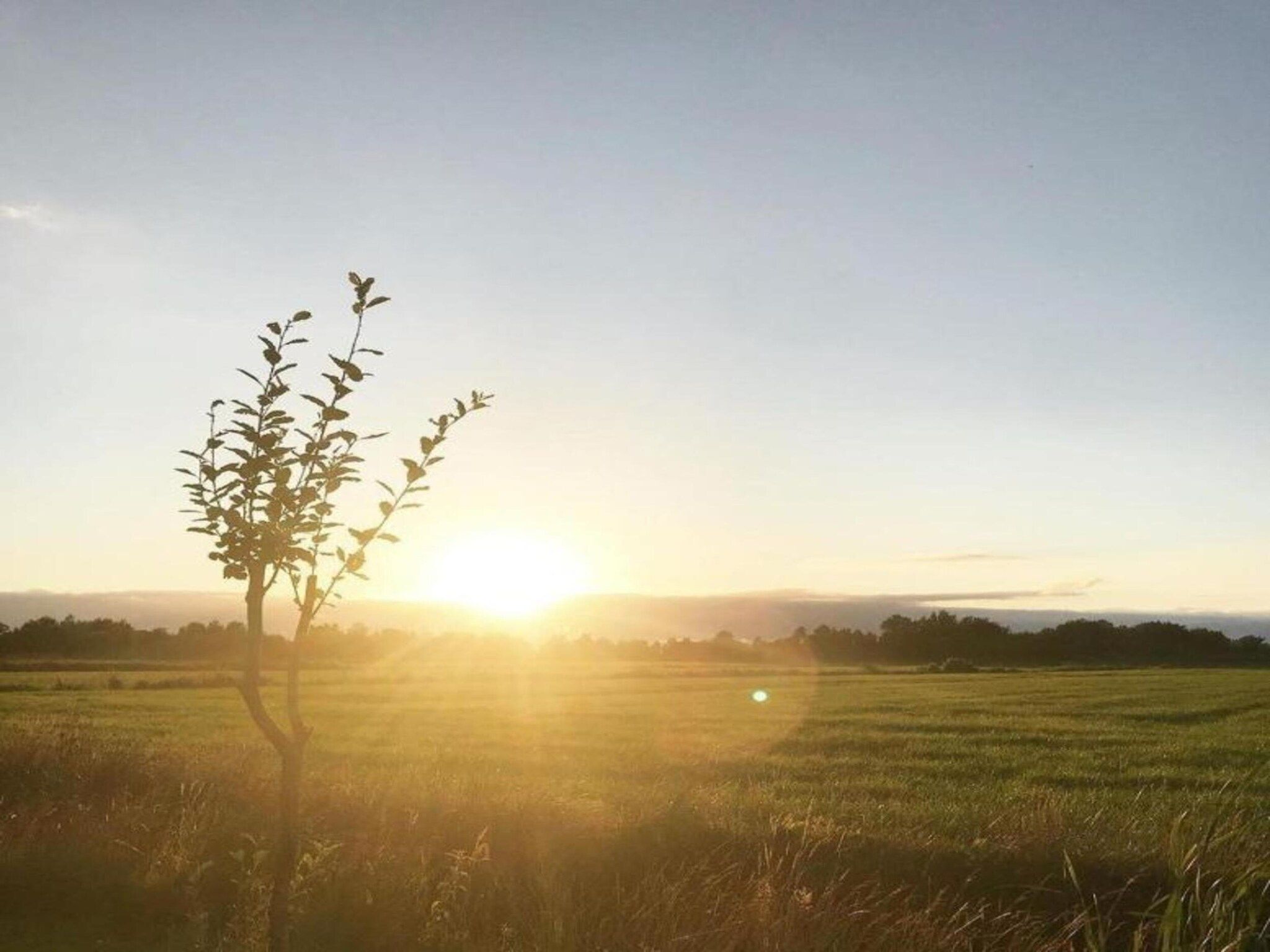 Chalet Doutzen in De Veenhoop - Foto 29 van 40