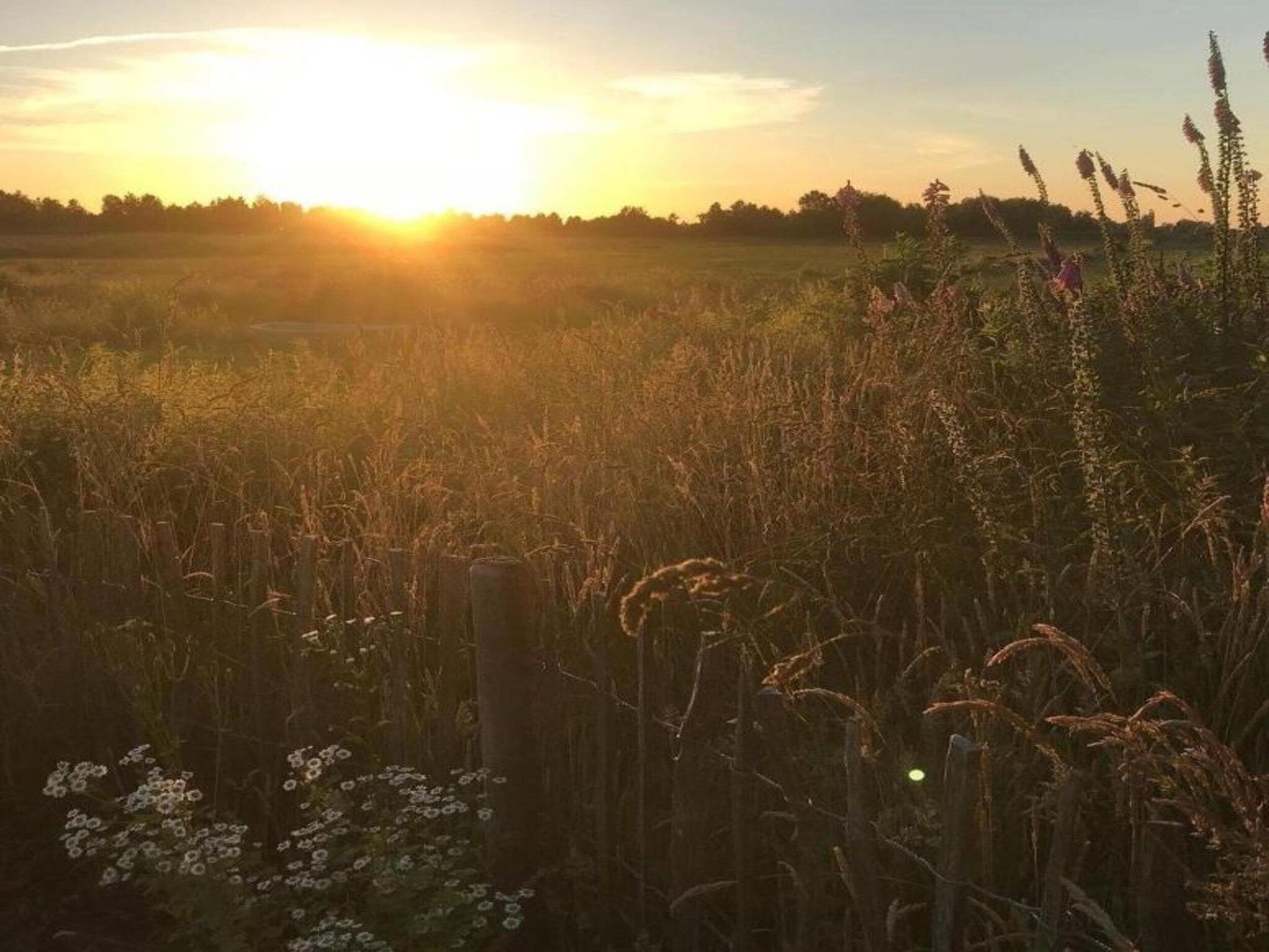 Chalet Doutzen in De Veenhoop - Foto 31 van 40