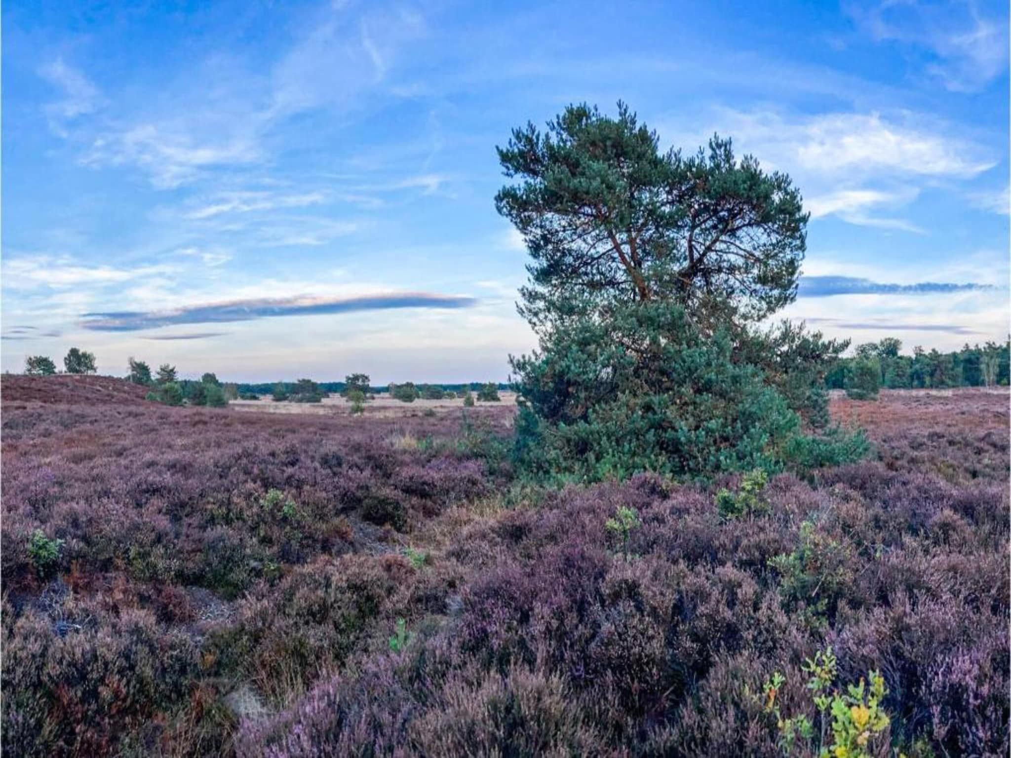 Huisje Putten in Putten - Foto 38 van 40