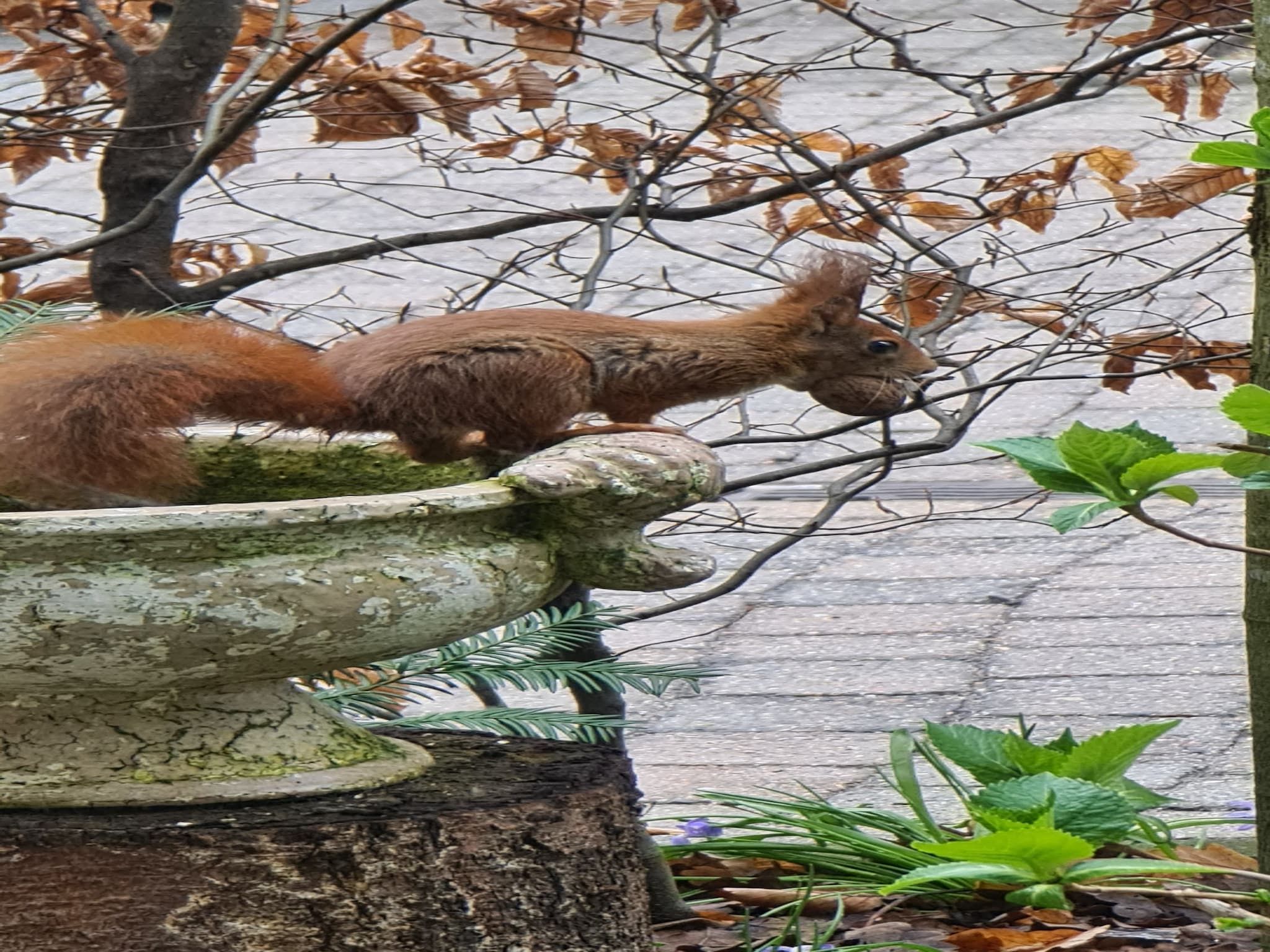 Sfeerbeeld van Vakantiehuis 'Het Atelier' in Sleen