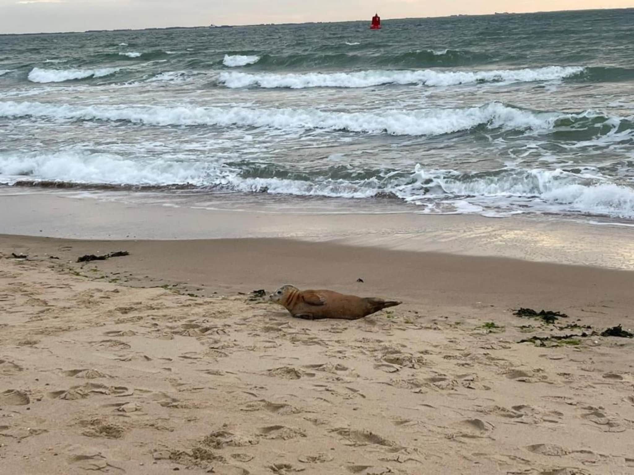 Vakantiehuis Groeneweg 3 'Jikkemien in Koudekerke - Foto 30 van 40