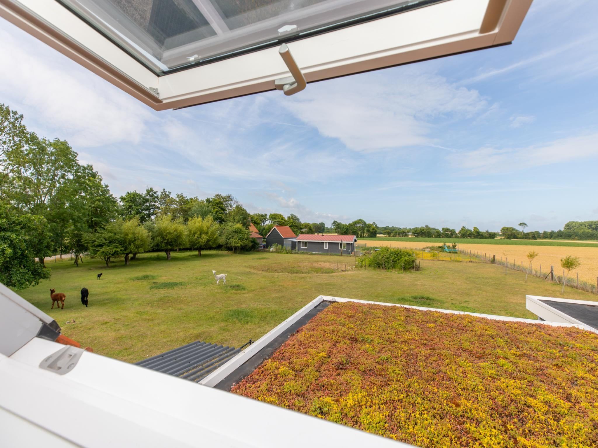 Het uitzicht vanaf Vakantiehuis Groeneweg 3 'Jikkemien in Koudekerke
