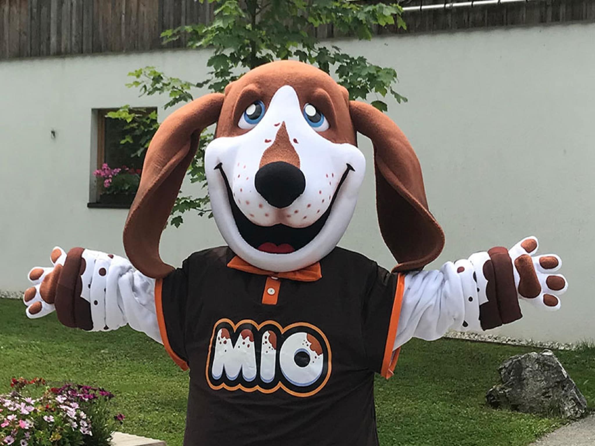 Sfeerbeeld van Resort Maastricht 26 in Maastricht