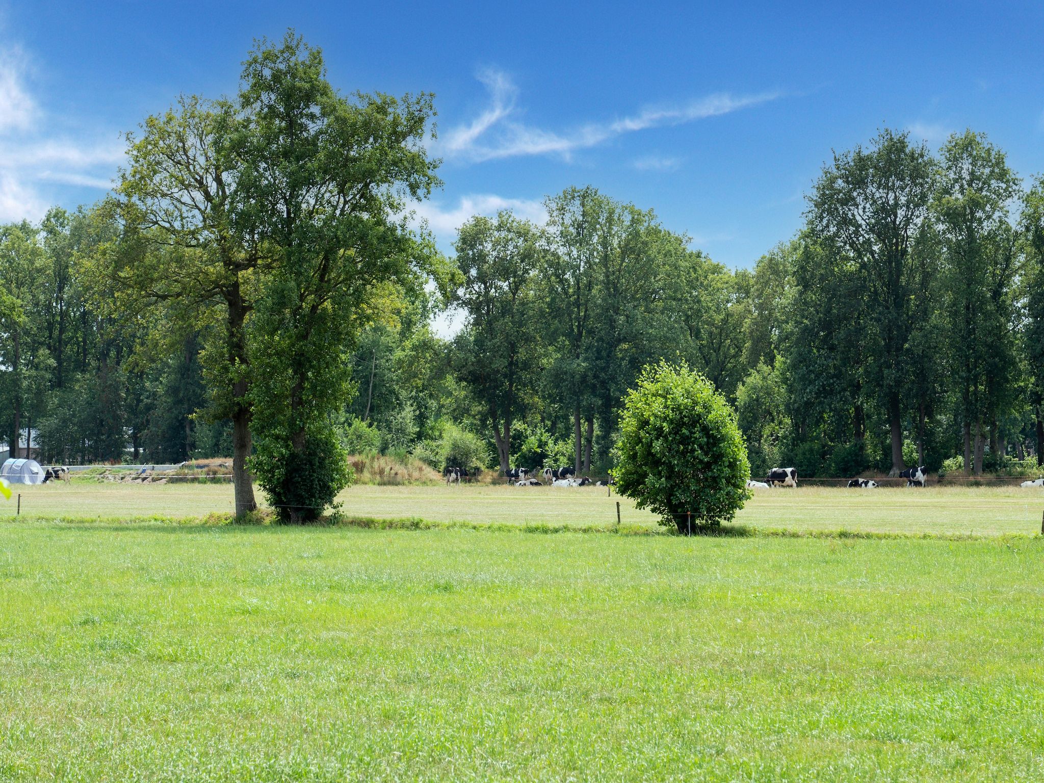De omgeving van woonboerderij in Staphorst voor 6 personen in Rouveen
