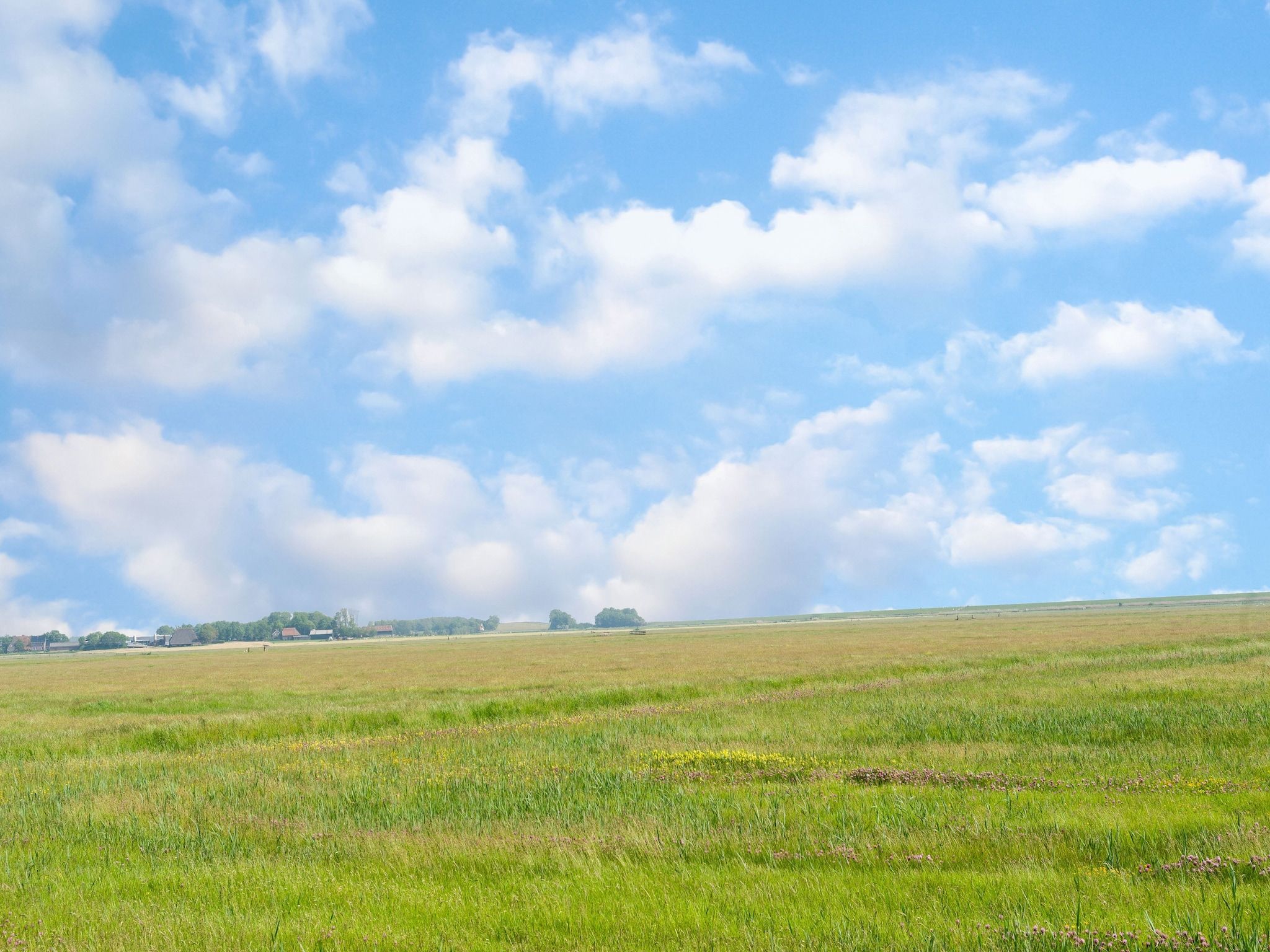 De omgeving van Us winsk in Stavoren