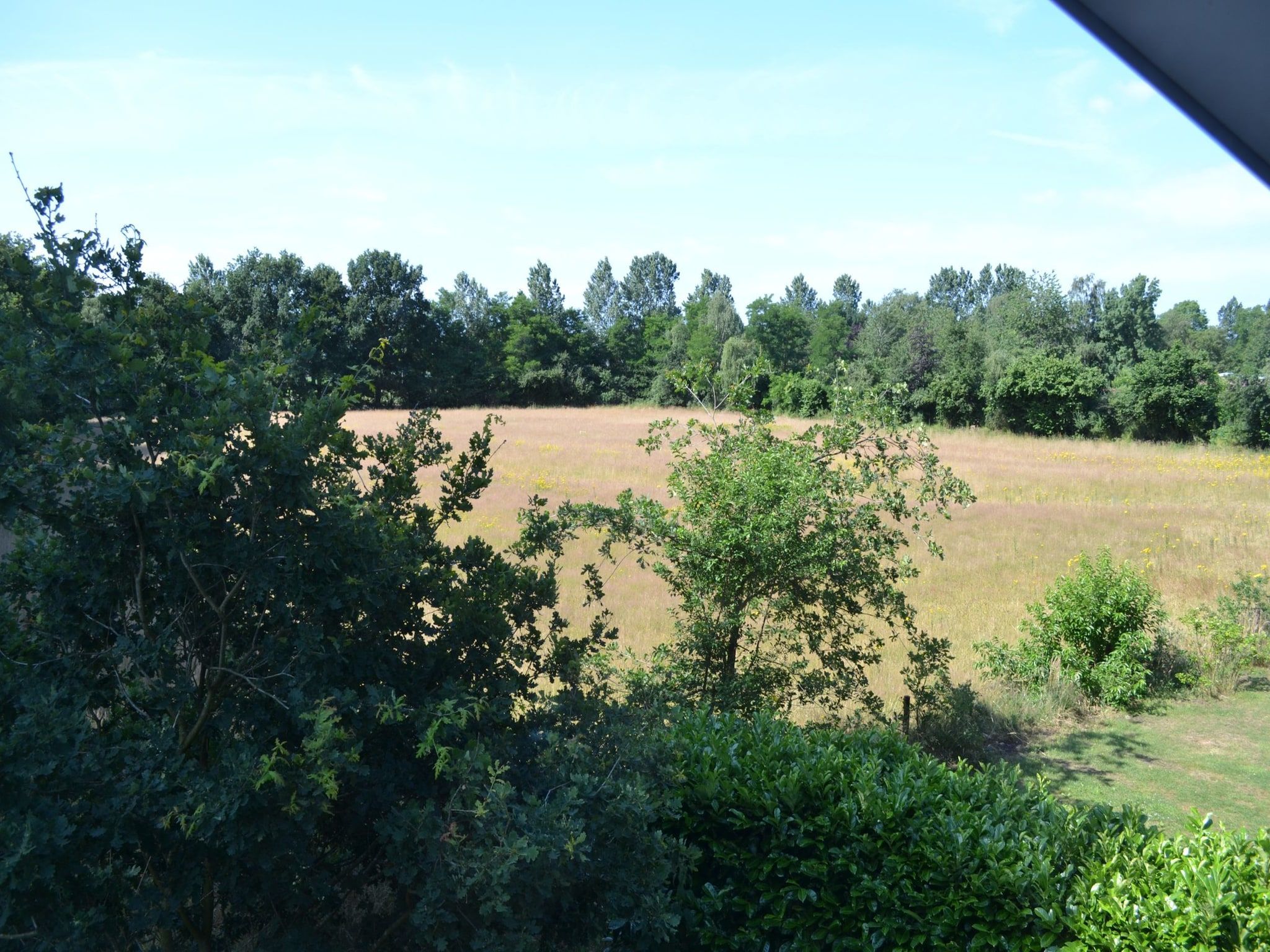 De omgeving van Uitzicht in Reutum