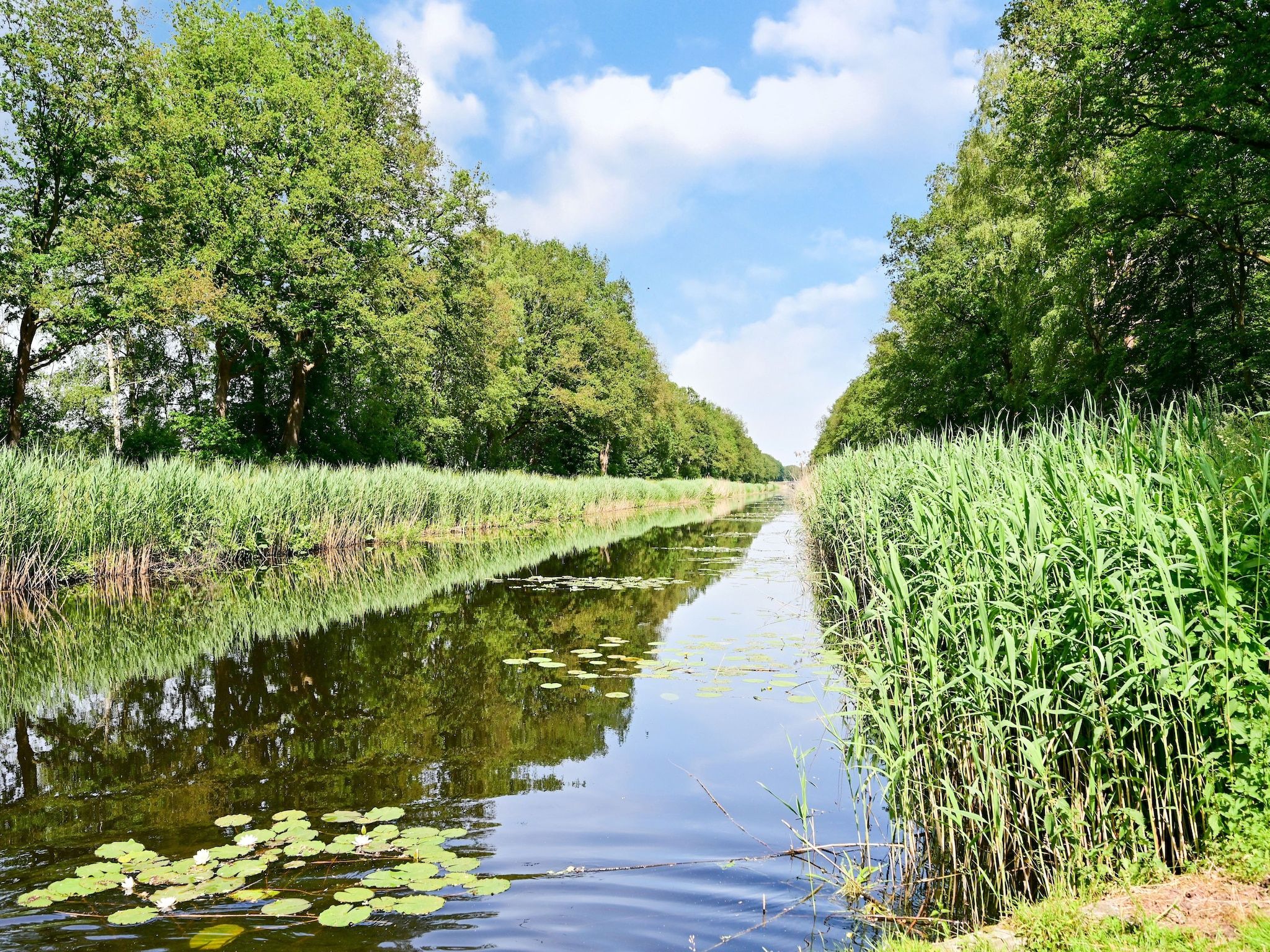 De omgeving van Uitzicht in Reutum