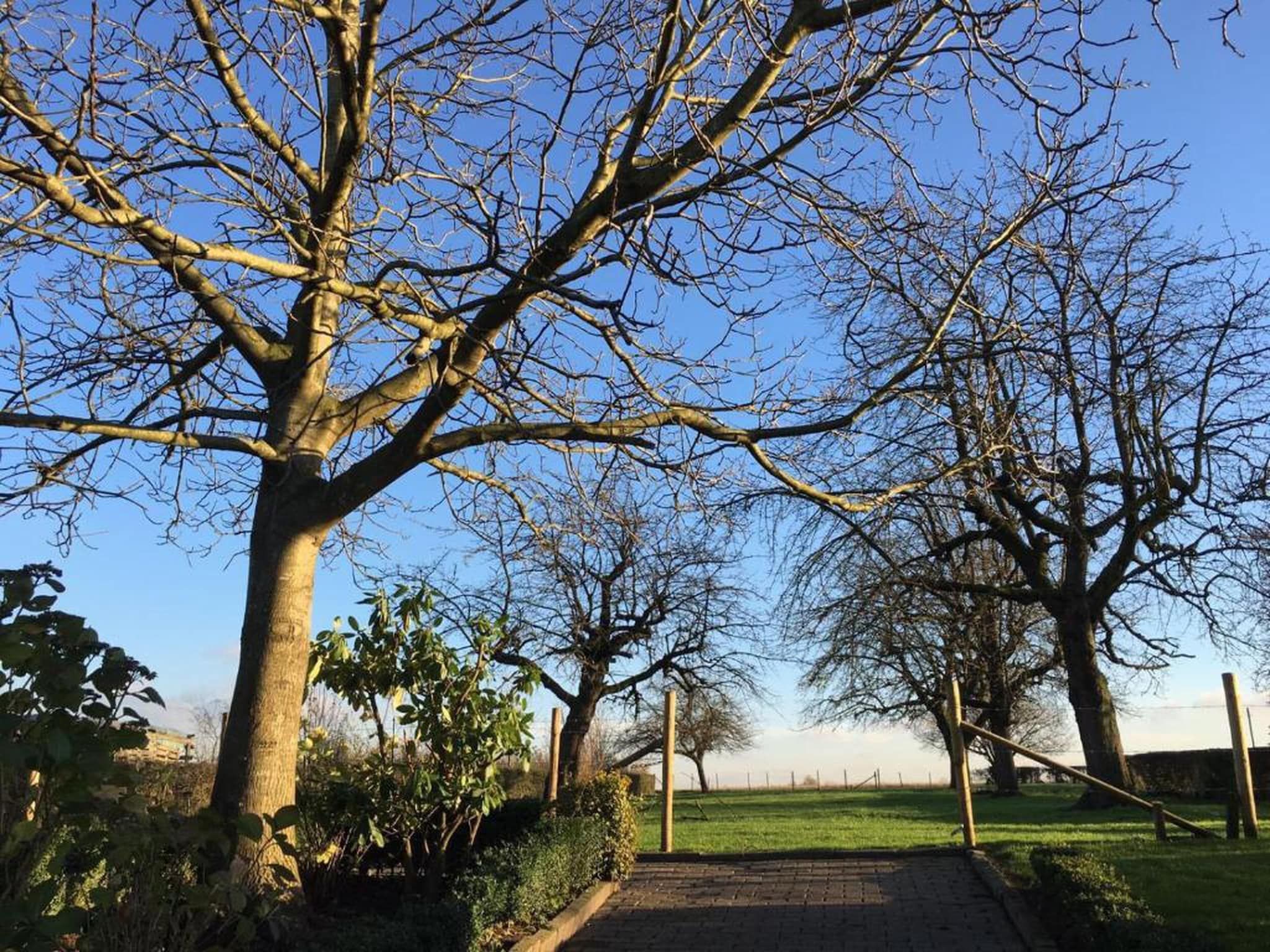 Resort Gulpen 7 in Gulpen - Foto 28 van 40