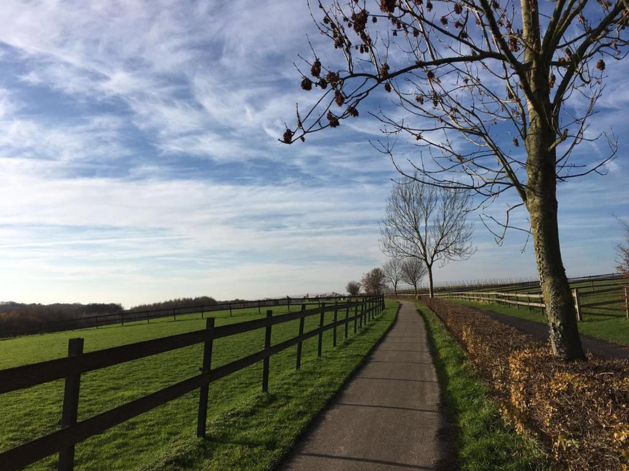 Resort Gulpen 7 in Gulpen - Foto 30 van 40