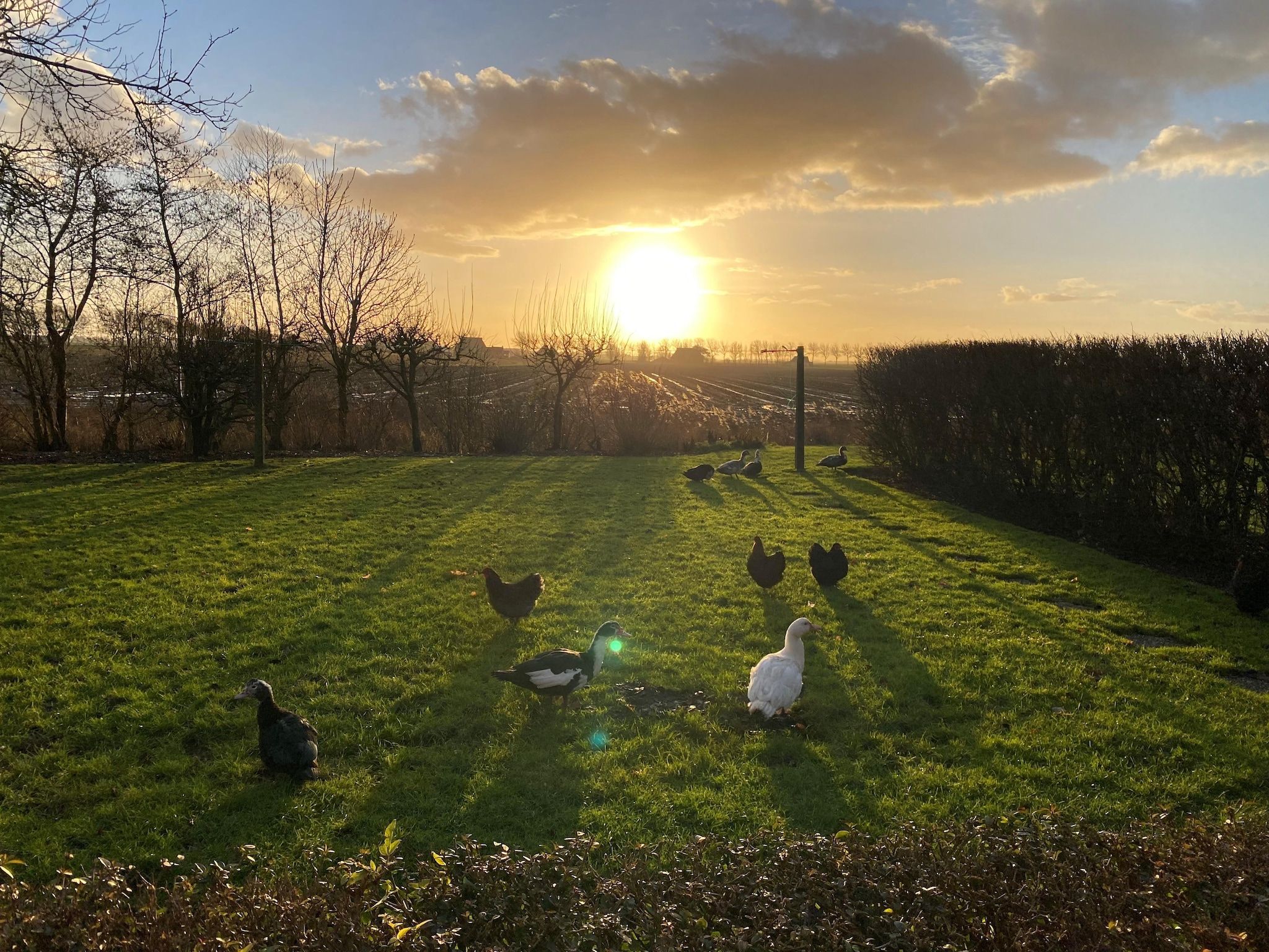 De tuin van Wol Thus in Paesens