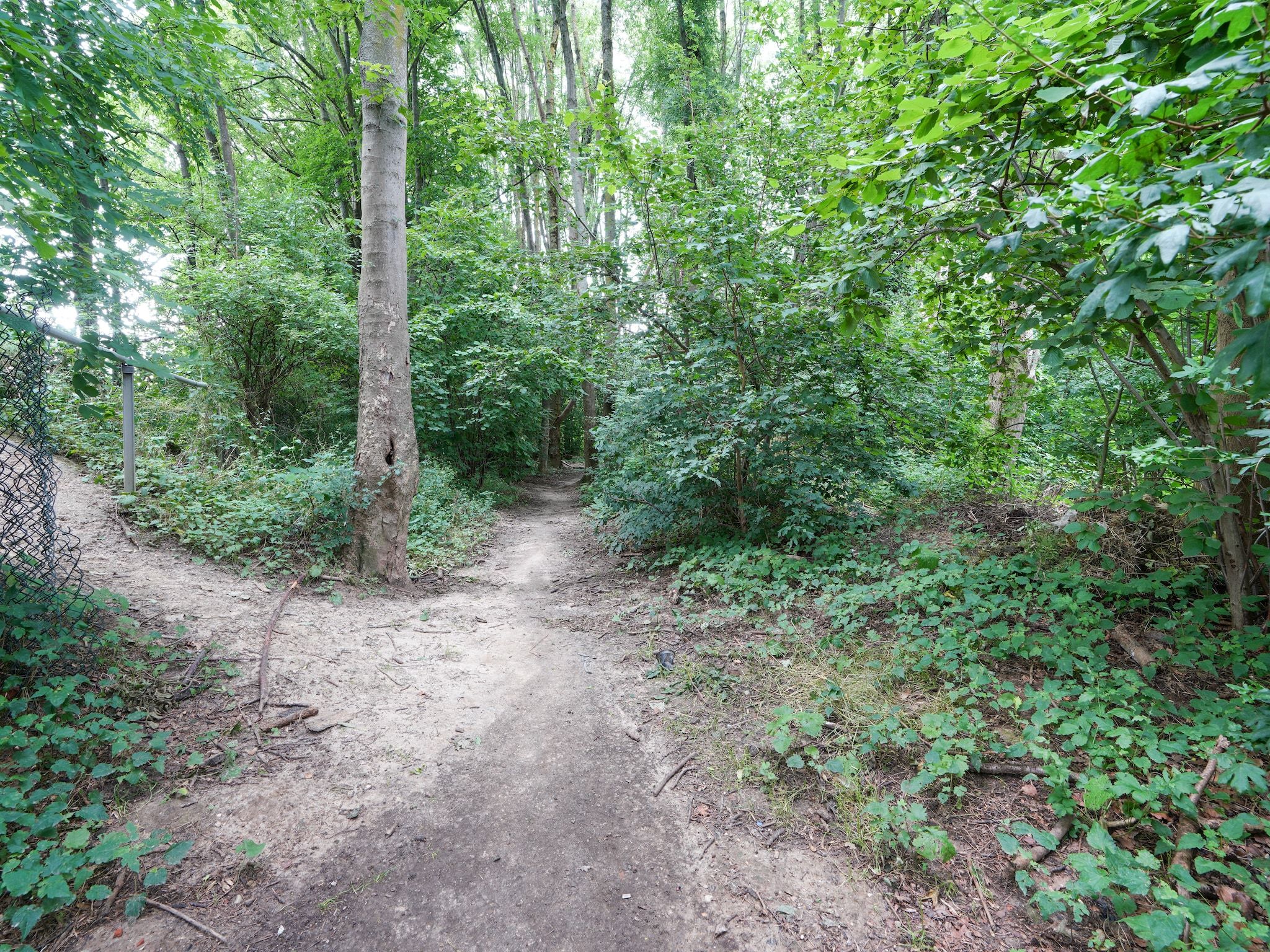 Vakantiewoning De Linge in Kerkrade - Foto 30 van 40
