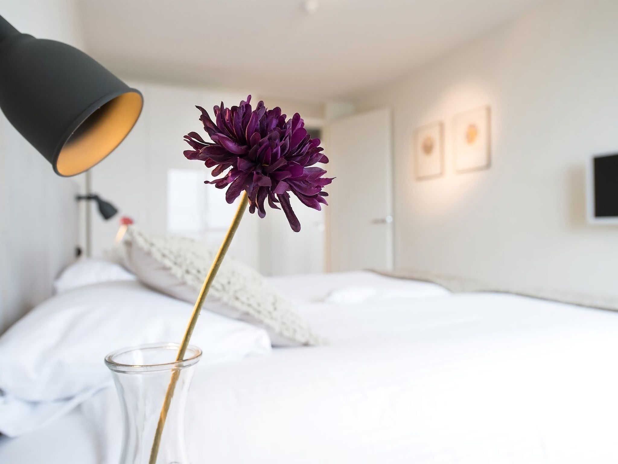 Sfeerbeeld van Scheveningen Harbour 32 in Den Haag