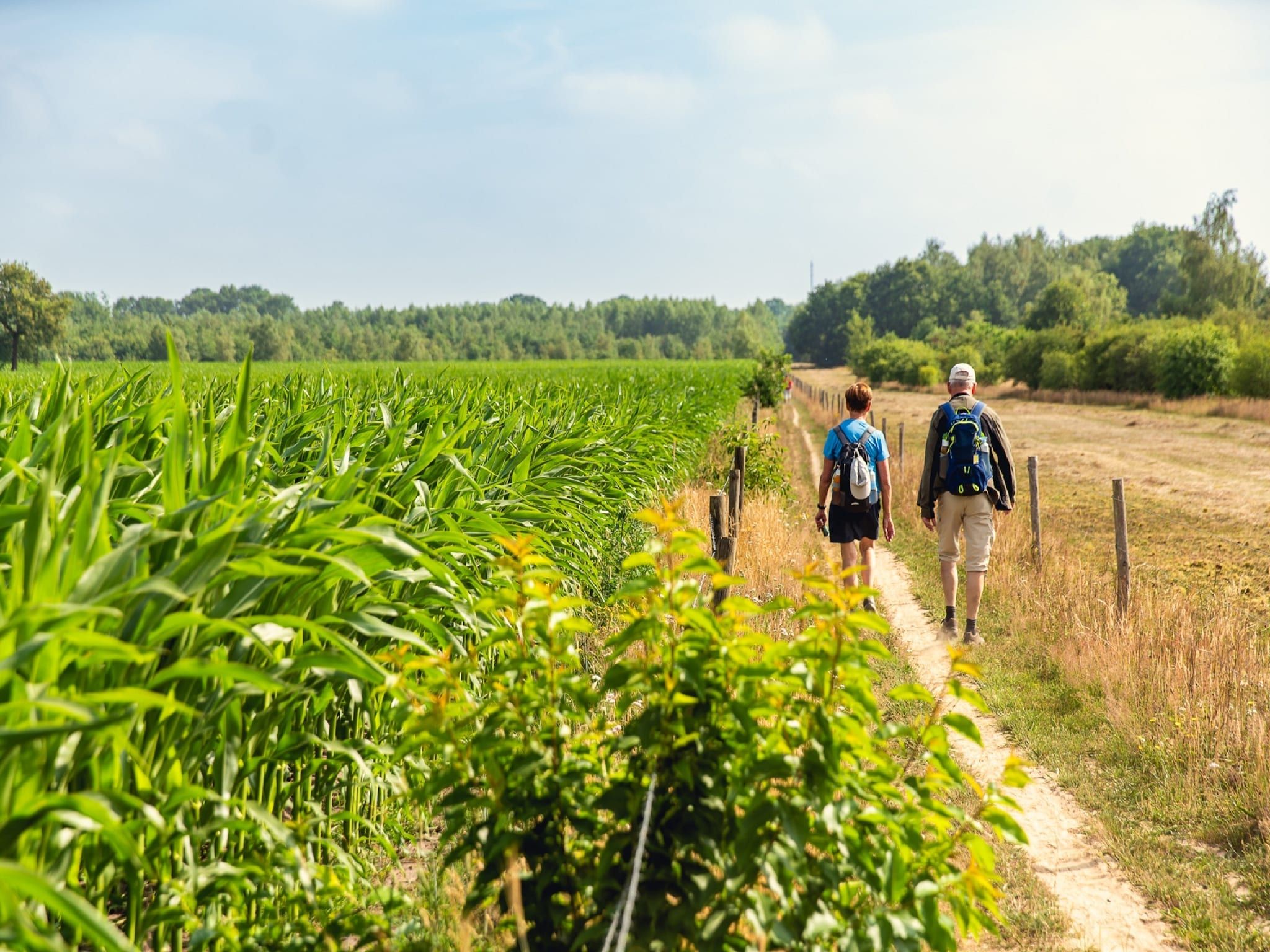 De omgeving van Vakantiepark Mölke 32 in Zuna