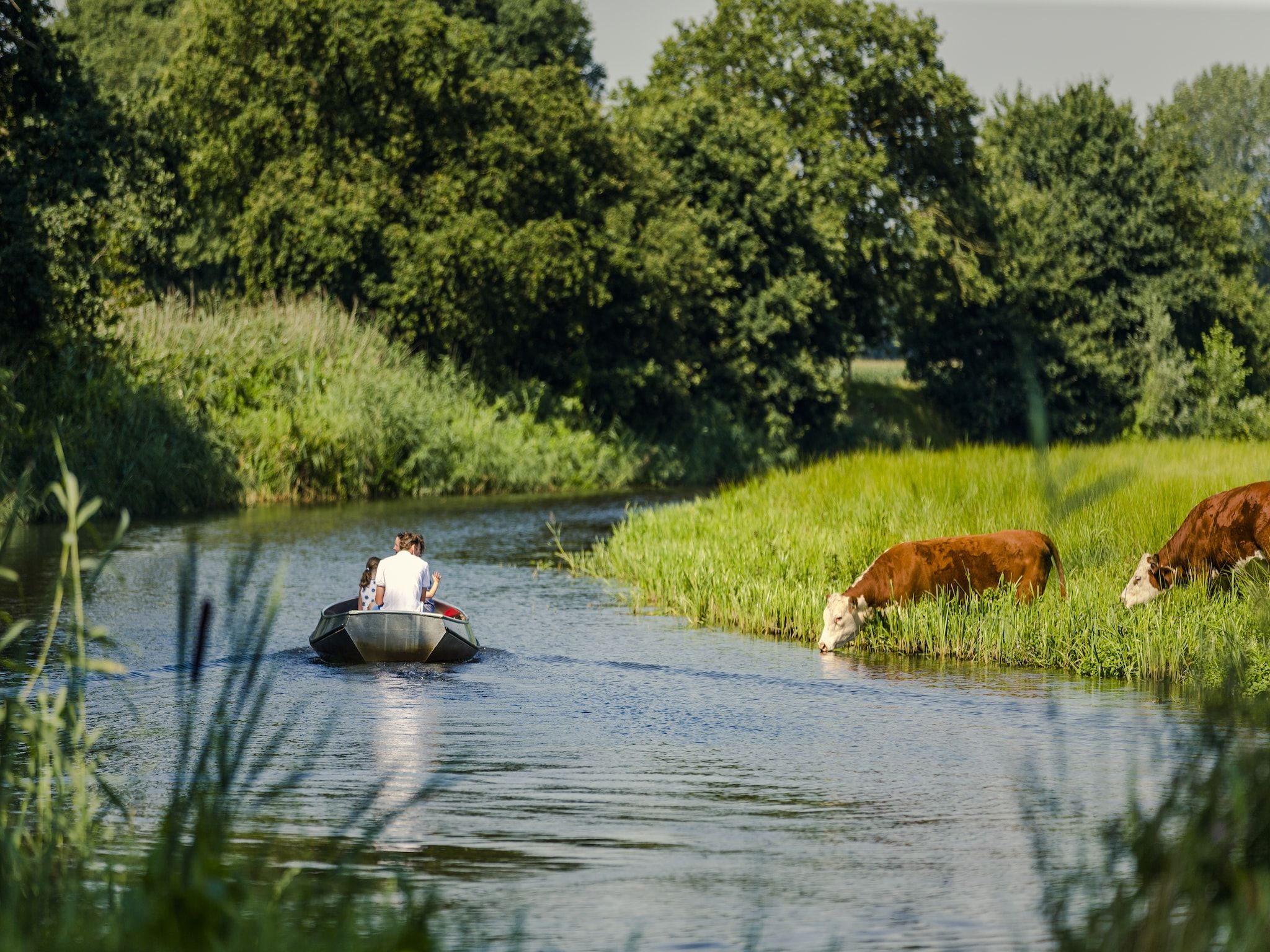 De omgeving van Vakantiepark Mölke 33 in Zuna
